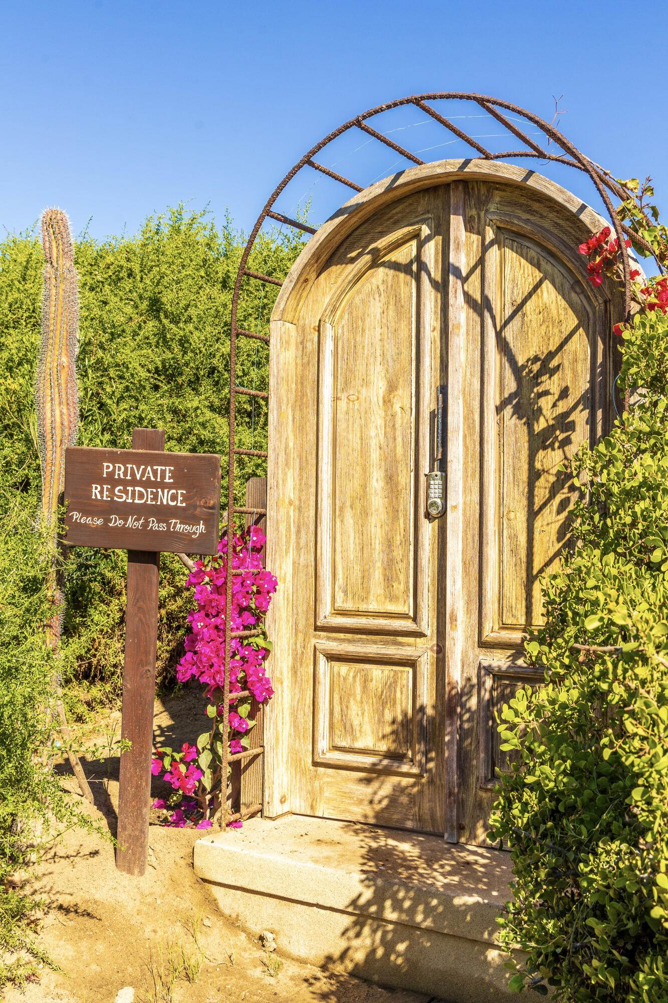 MLS #25-173 image #9