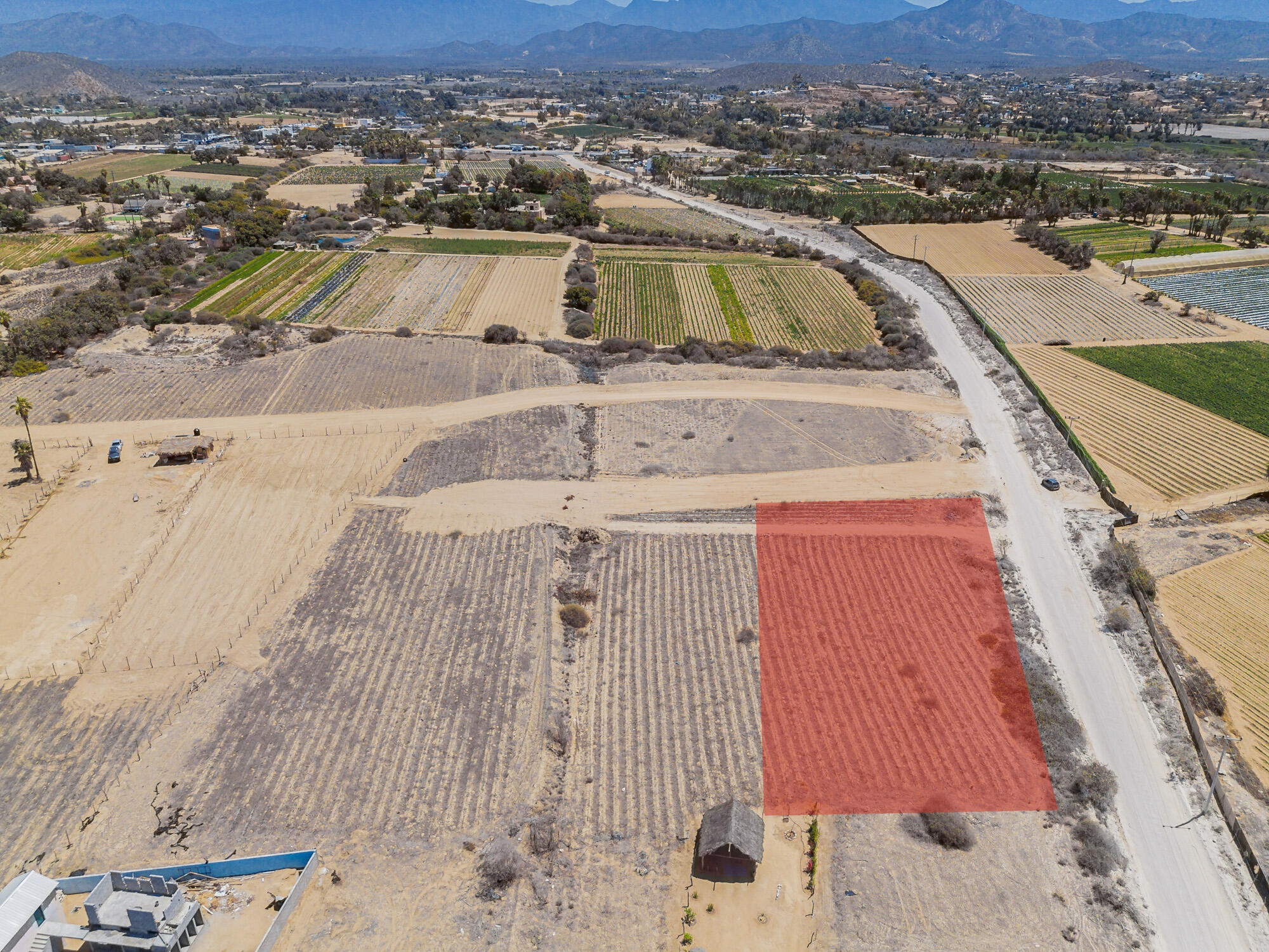 MLS #25-1739 image #6