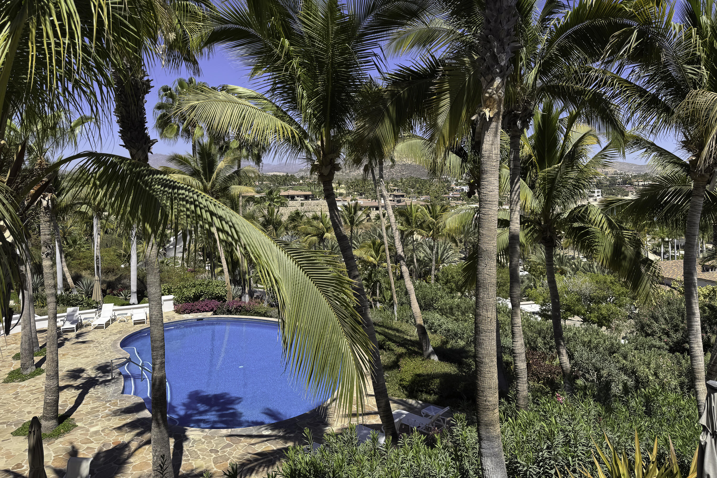 MLS #25-1794 image #18