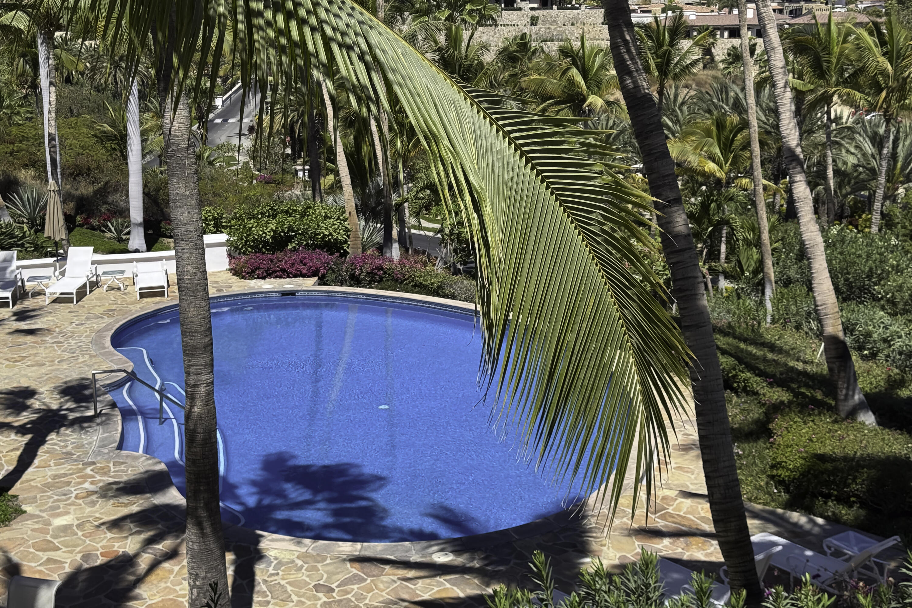 MLS #25-1794 image #19