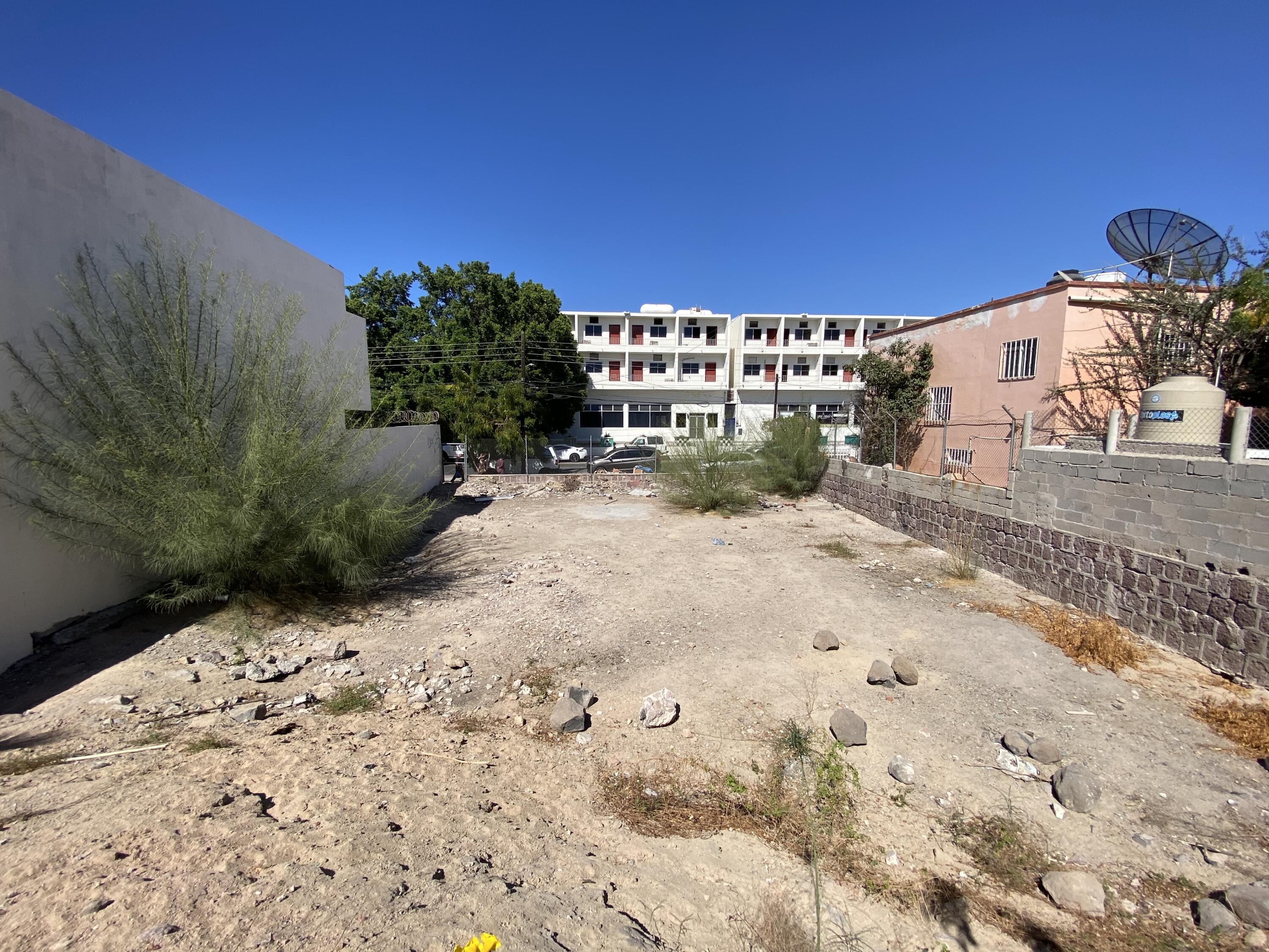 MLS #25-1795 image #5