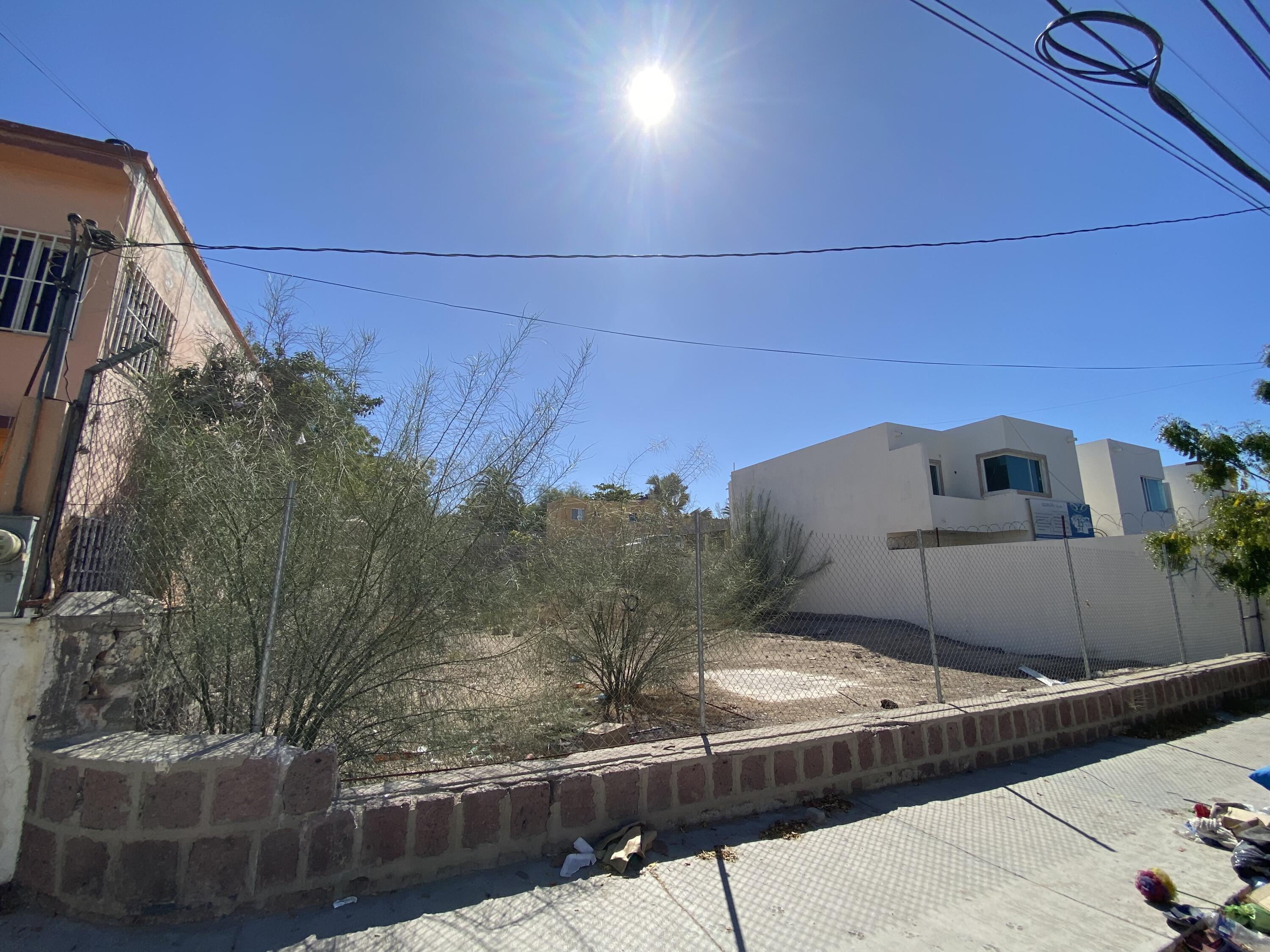 MLS #25-1795 image #7