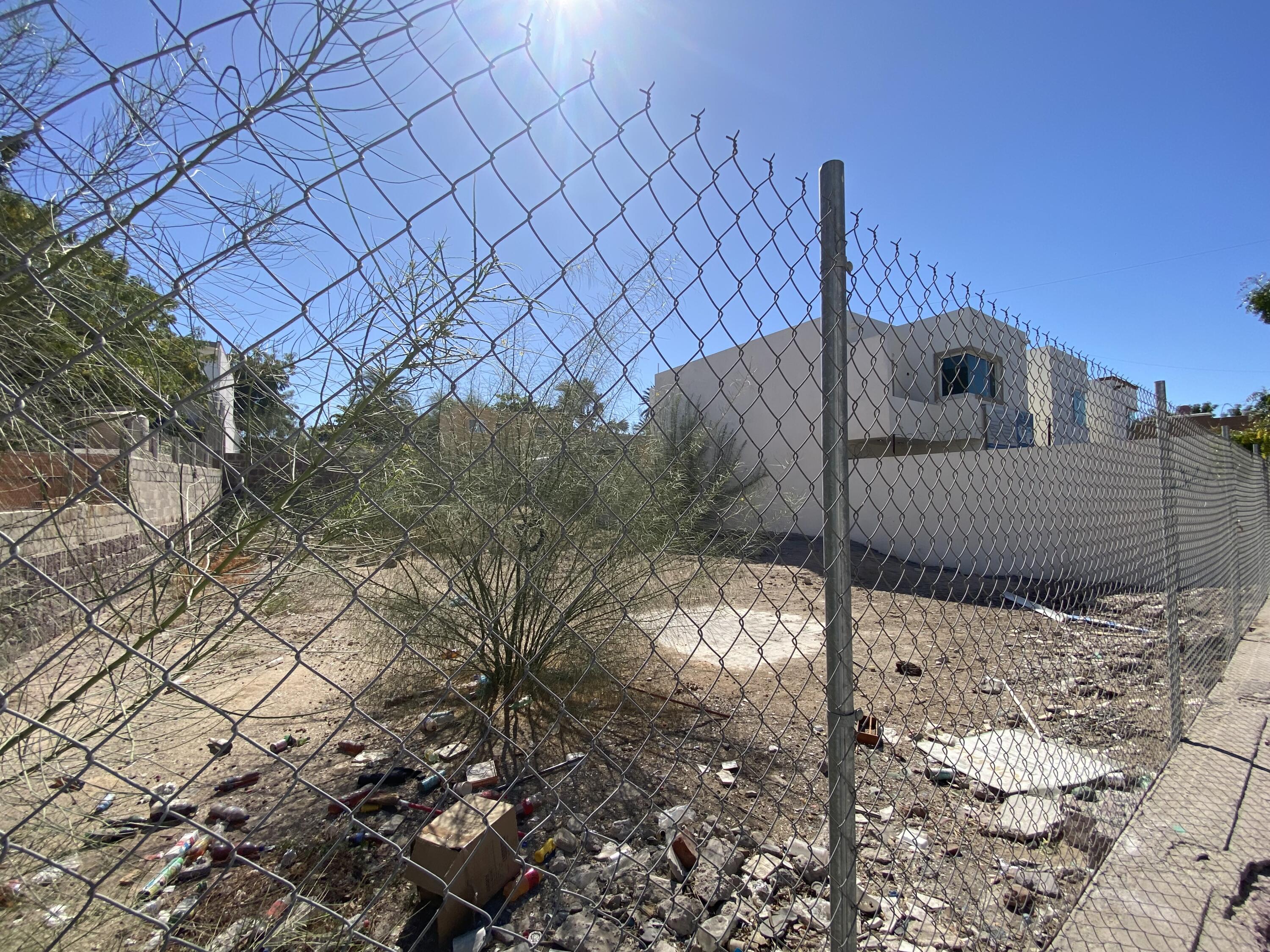 MLS #25-1795 image #9