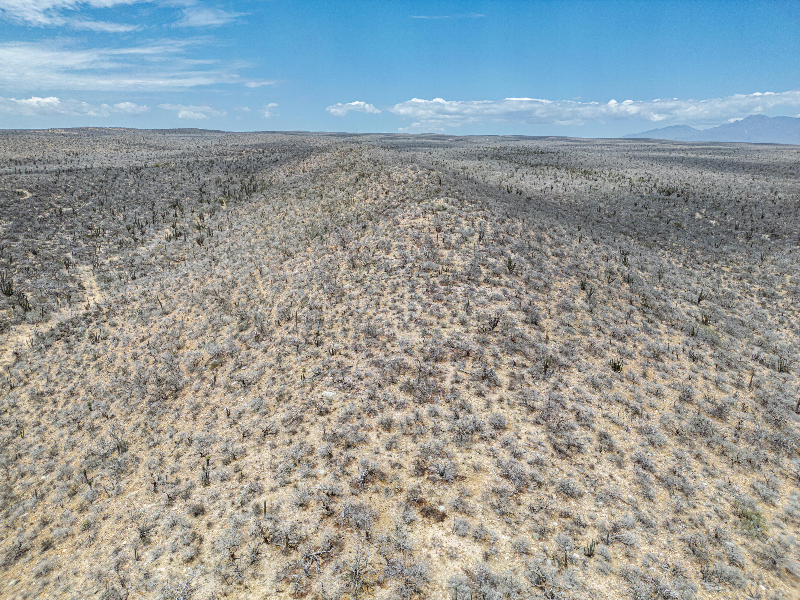 n/a Las Playitas Loma Hermosa Lot 1 Pacific BCS MLS #25-1836 42 MLS #25-1836 image #1