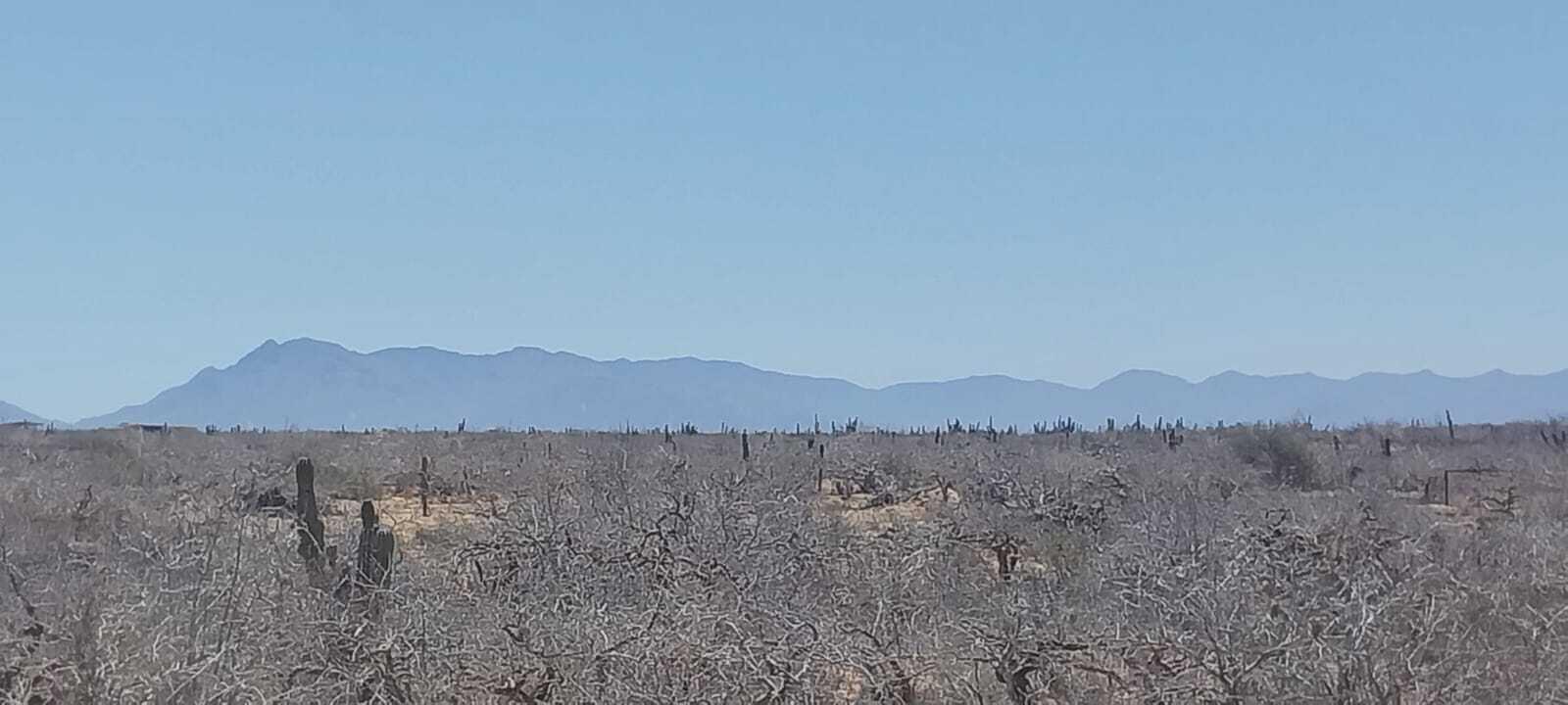 MLS #25-1836 image #10