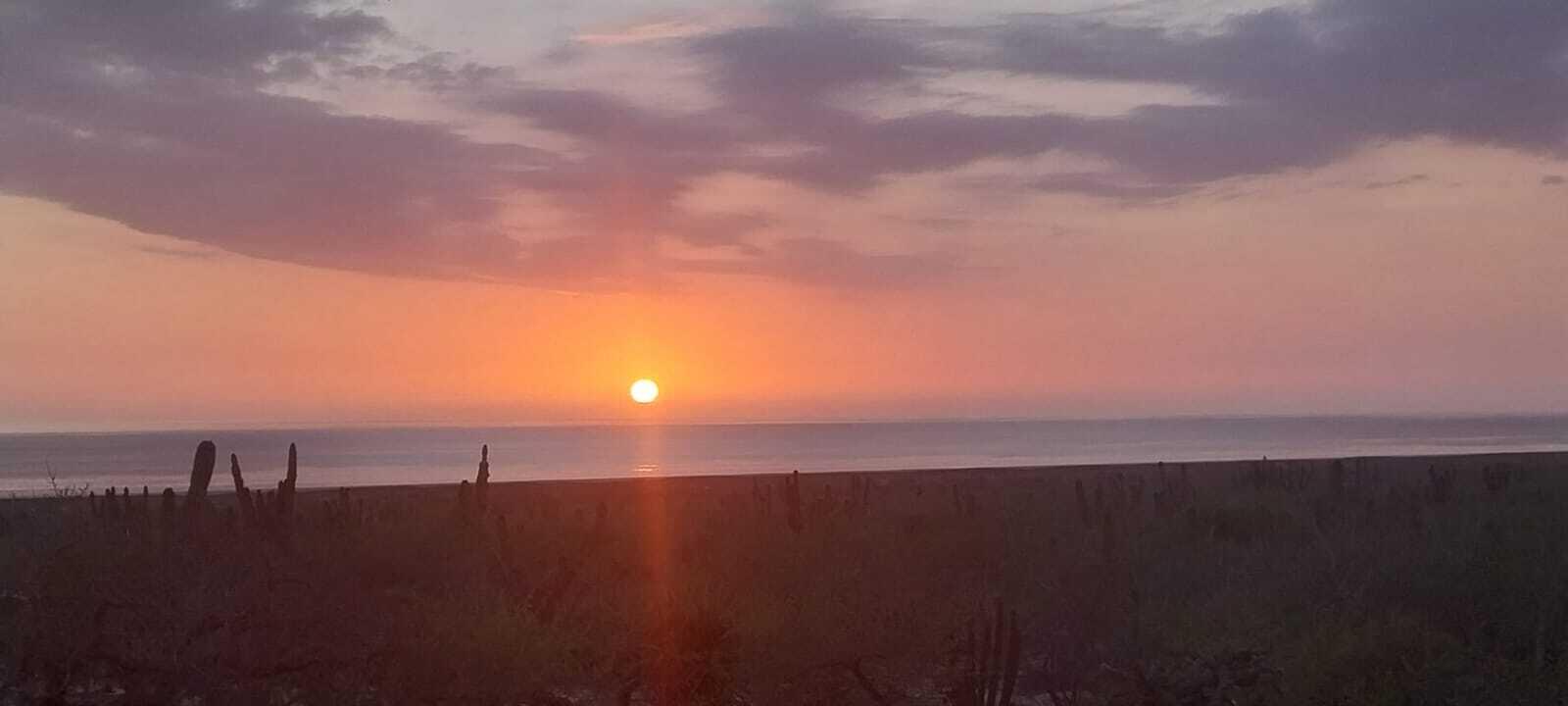 MLS #25-1836 image #12