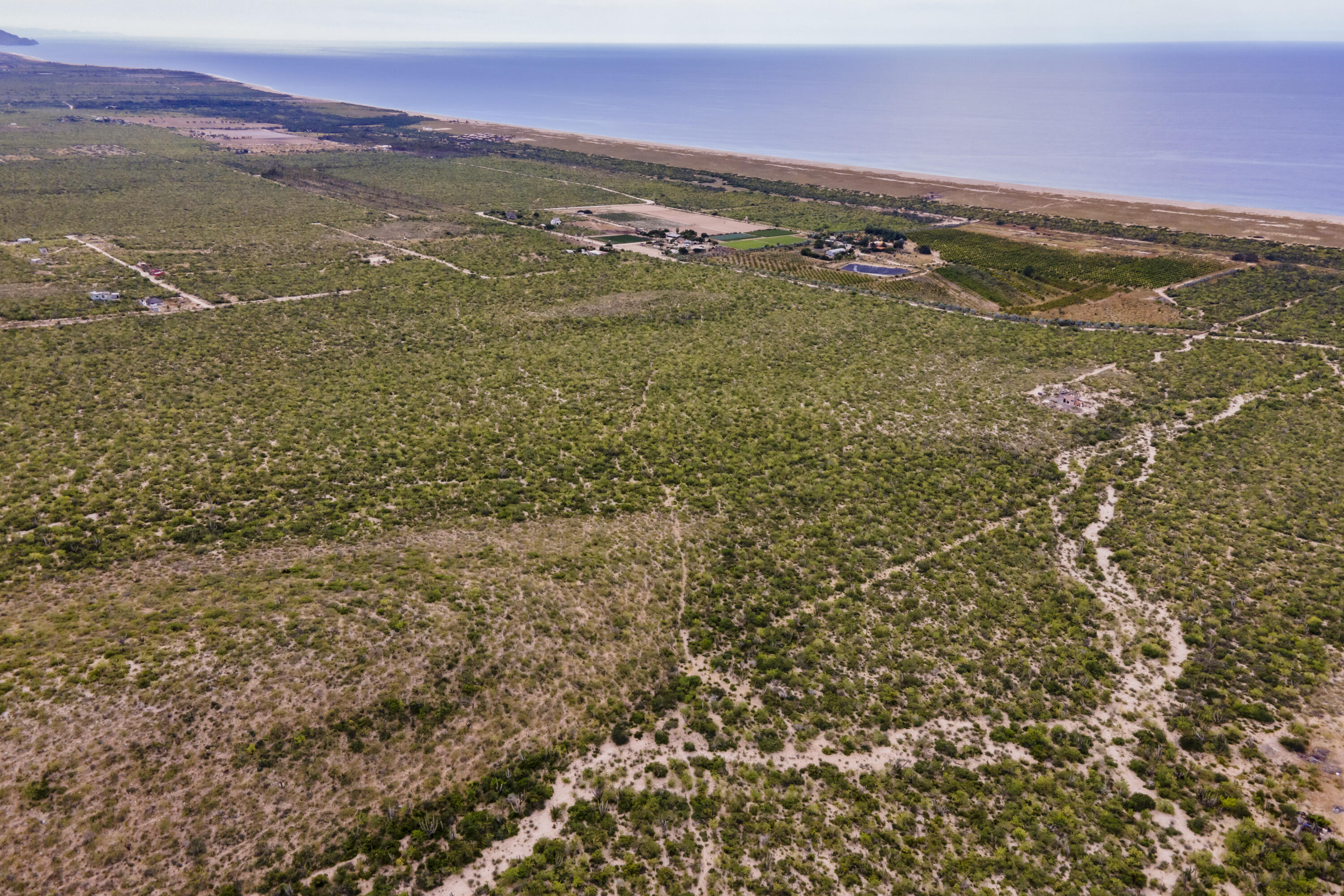 n/a Las Playitas Loma Hermosa Lot 1 Pacific BCS MLS #25-1836 43 MLS #25-1836 image #2