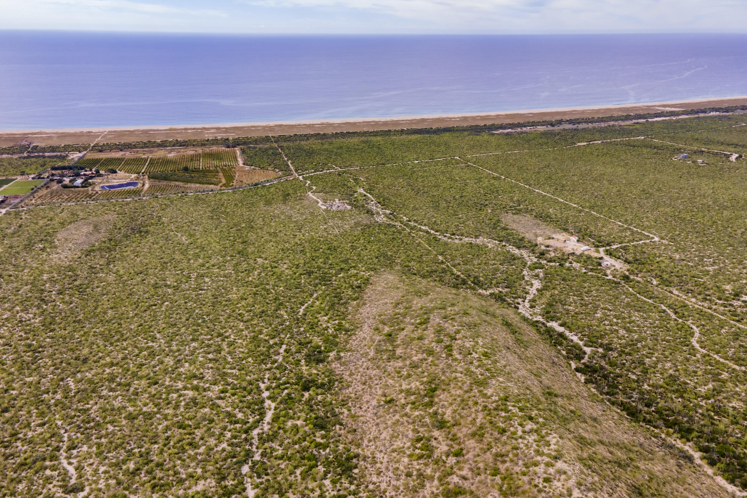 n/a Las Playitas Loma Hermosa Lot 1 Pacific BCS MLS #25-1836 44 MLS #25-1836 image #3