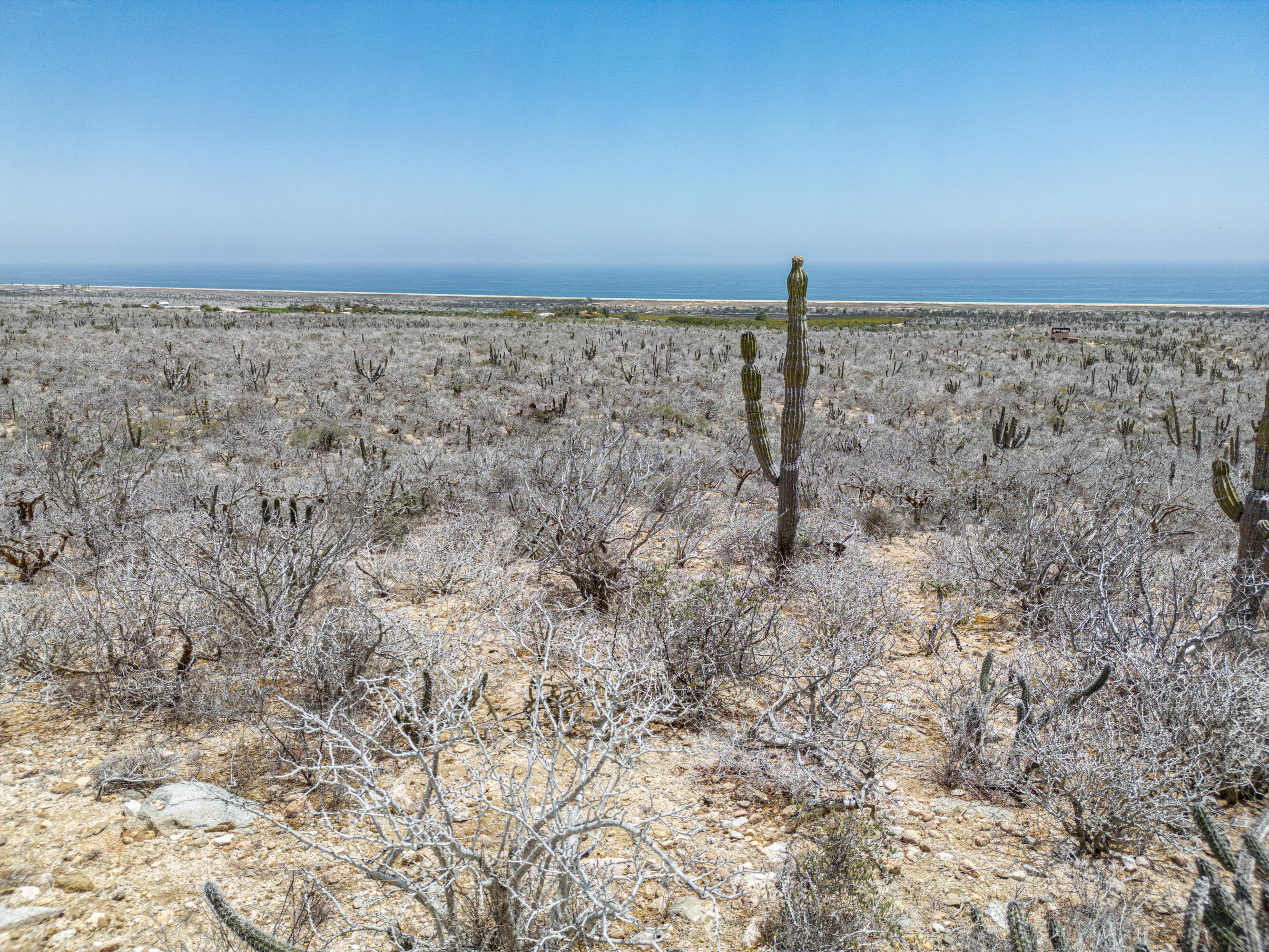 n/a Las Playitas Loma Hermosa Lot 1 Pacific BCS MLS #25-1836 46 MLS #25-1836 image #5