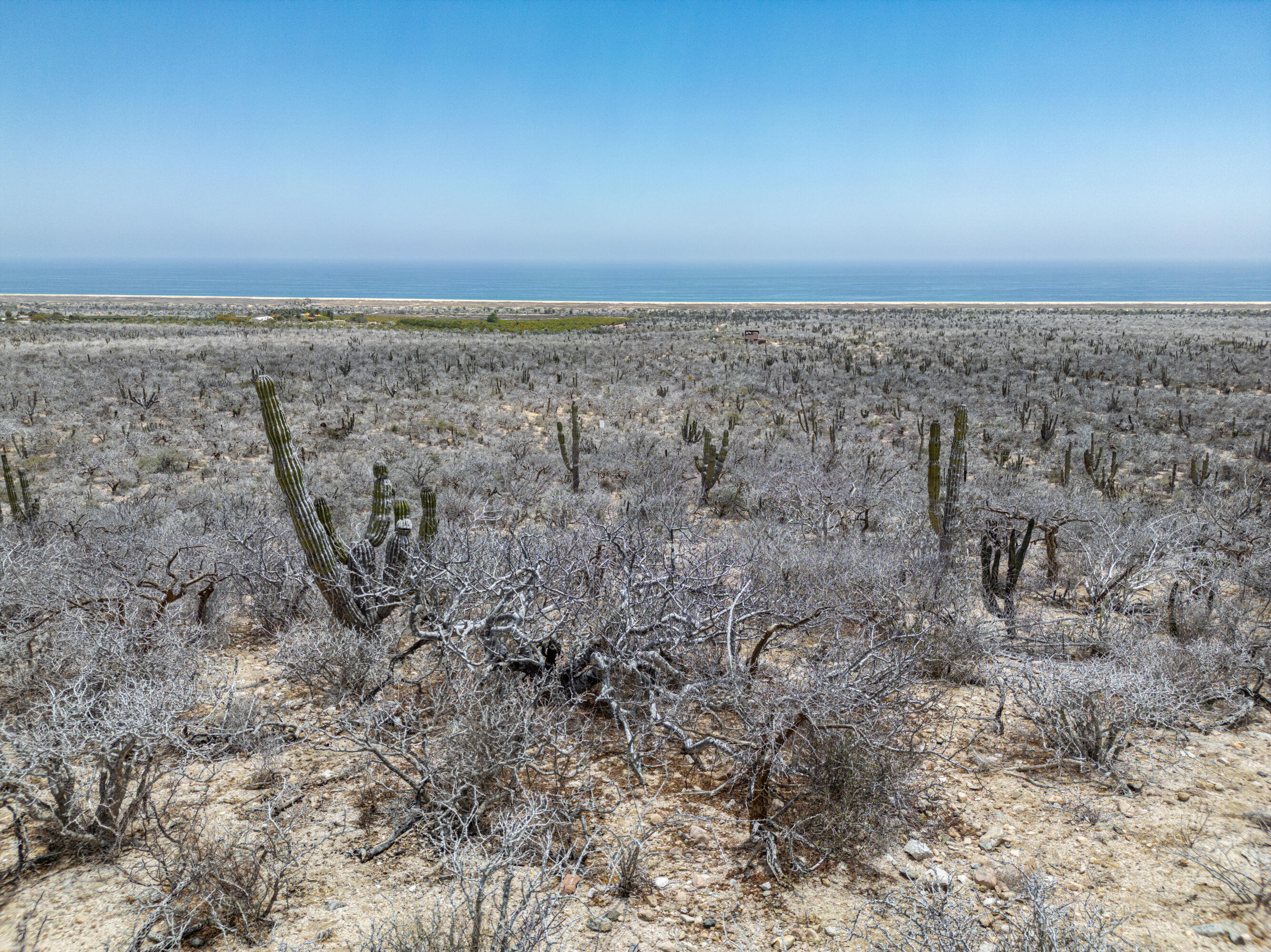 n/a Las Playitas Loma Hermosa Lot 1 Pacific BCS MLS #25-1836 47 MLS #25-1836 image #6