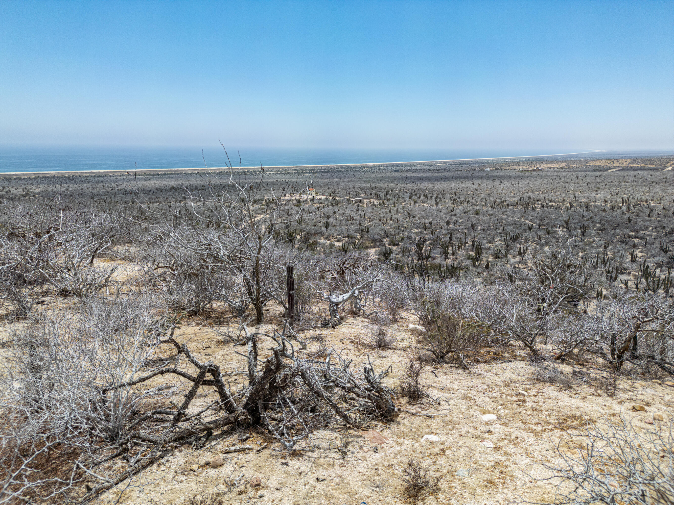 MLS #25-1836 image #7