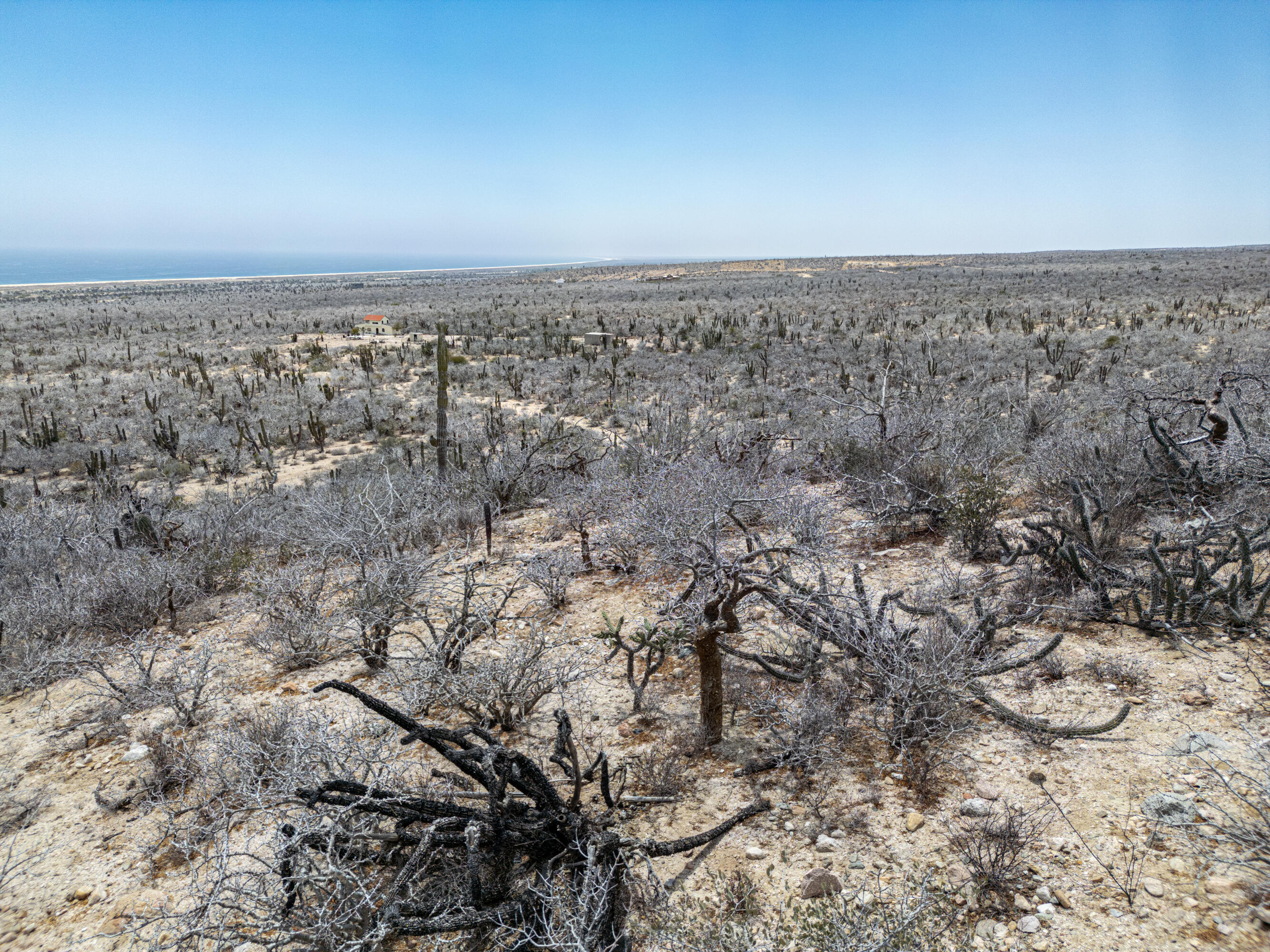 MLS #25-1836 image #8