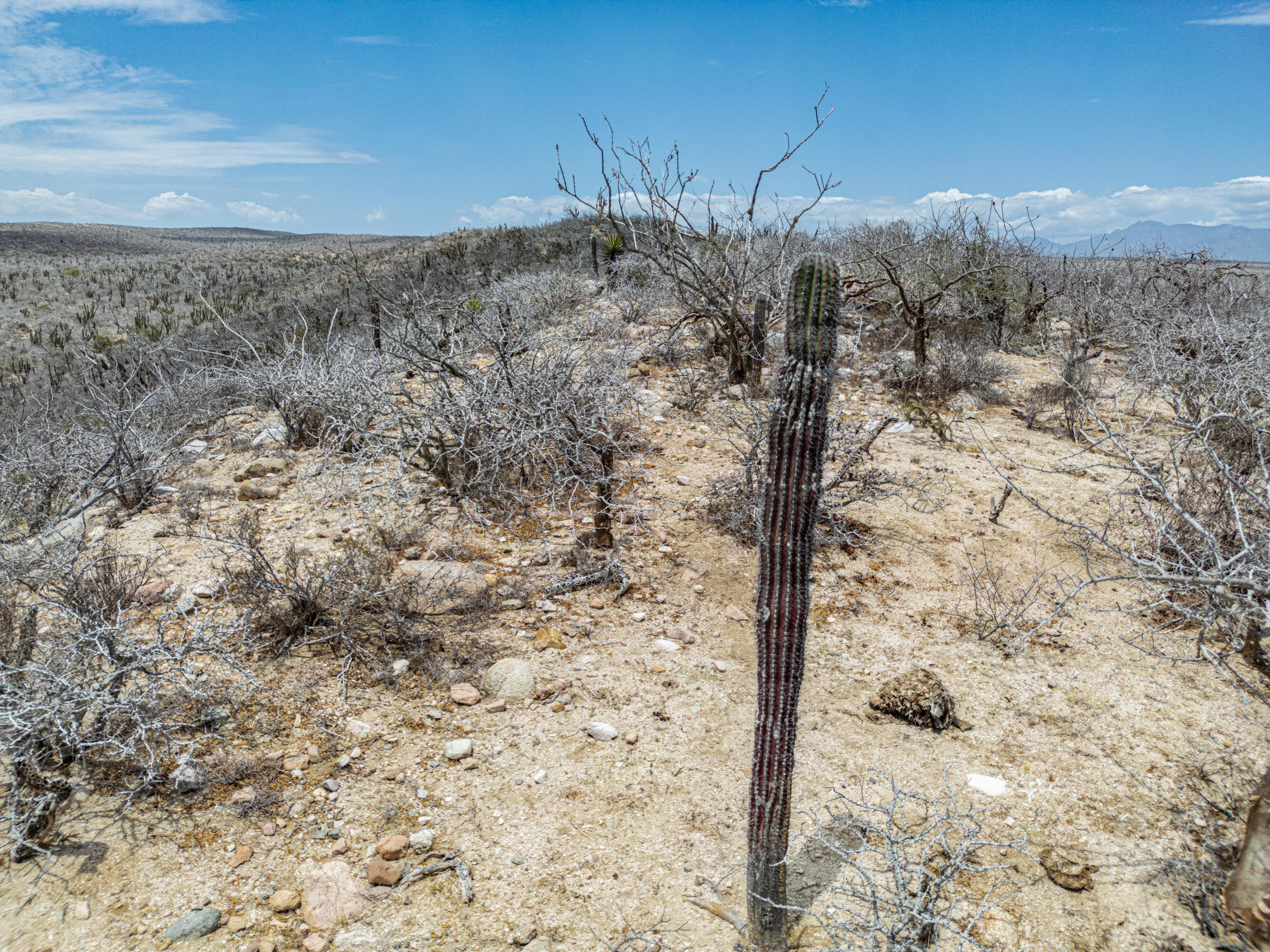 MLS #25-1836 image #9