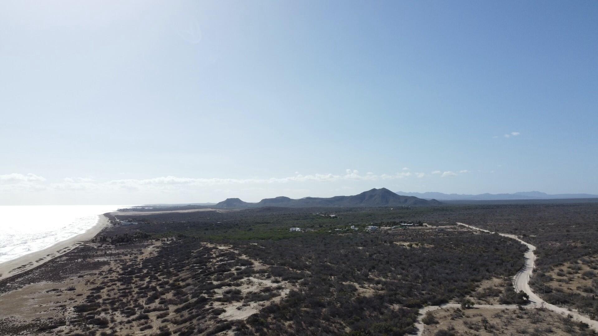 MLS #25-1853 image #10