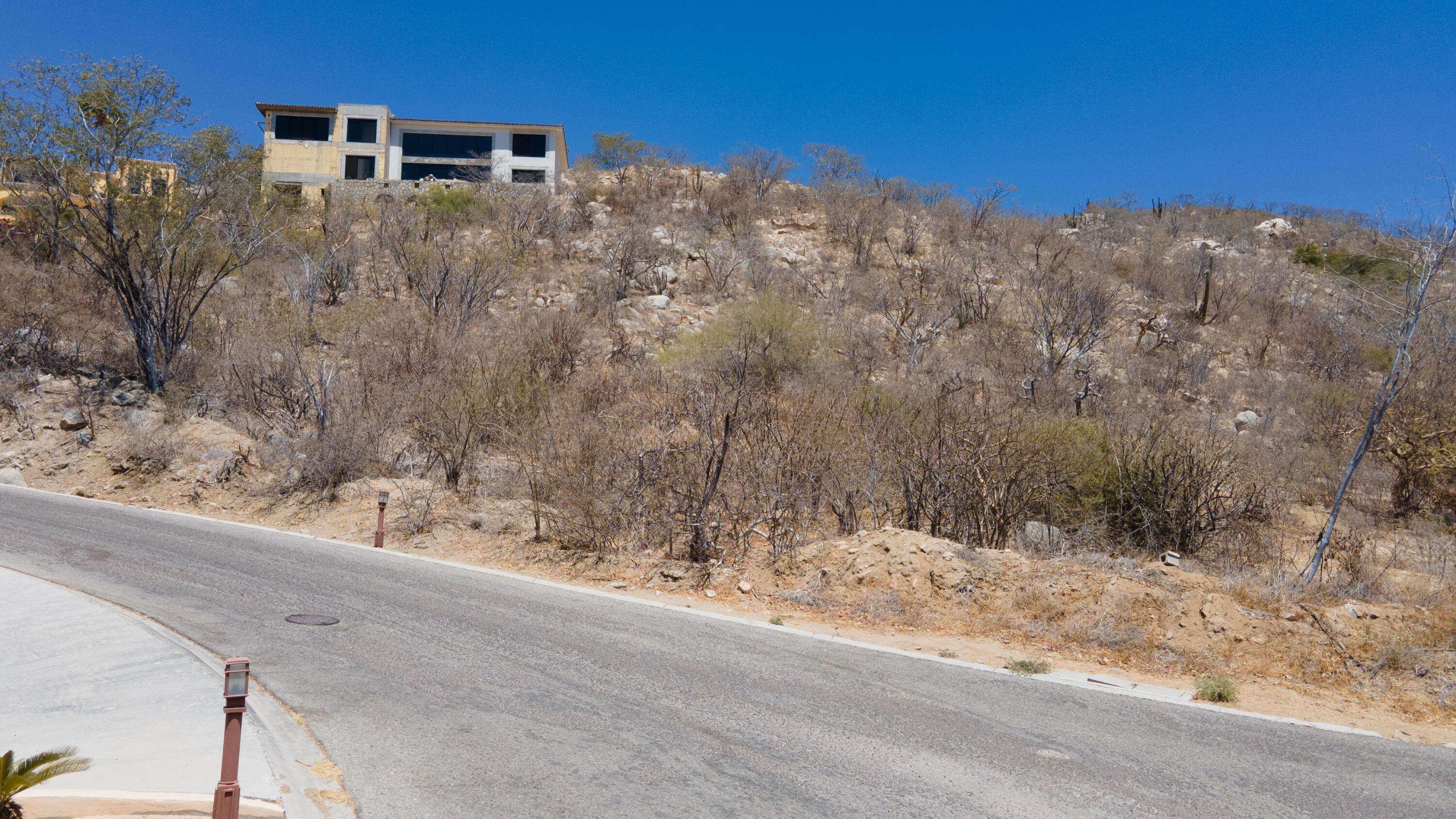 MLS #25-1956 image #5