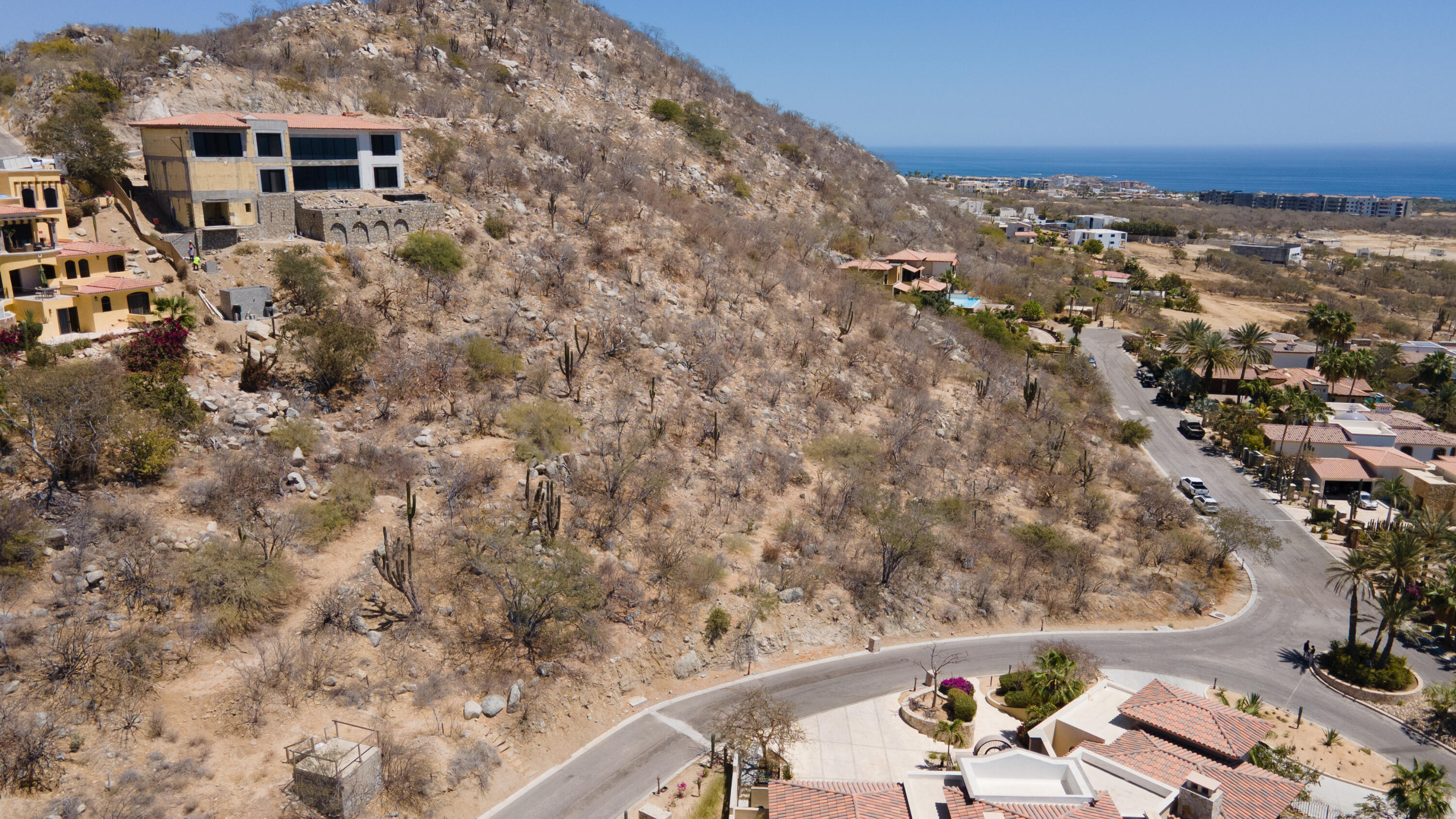 MLS #25-1956 image #8