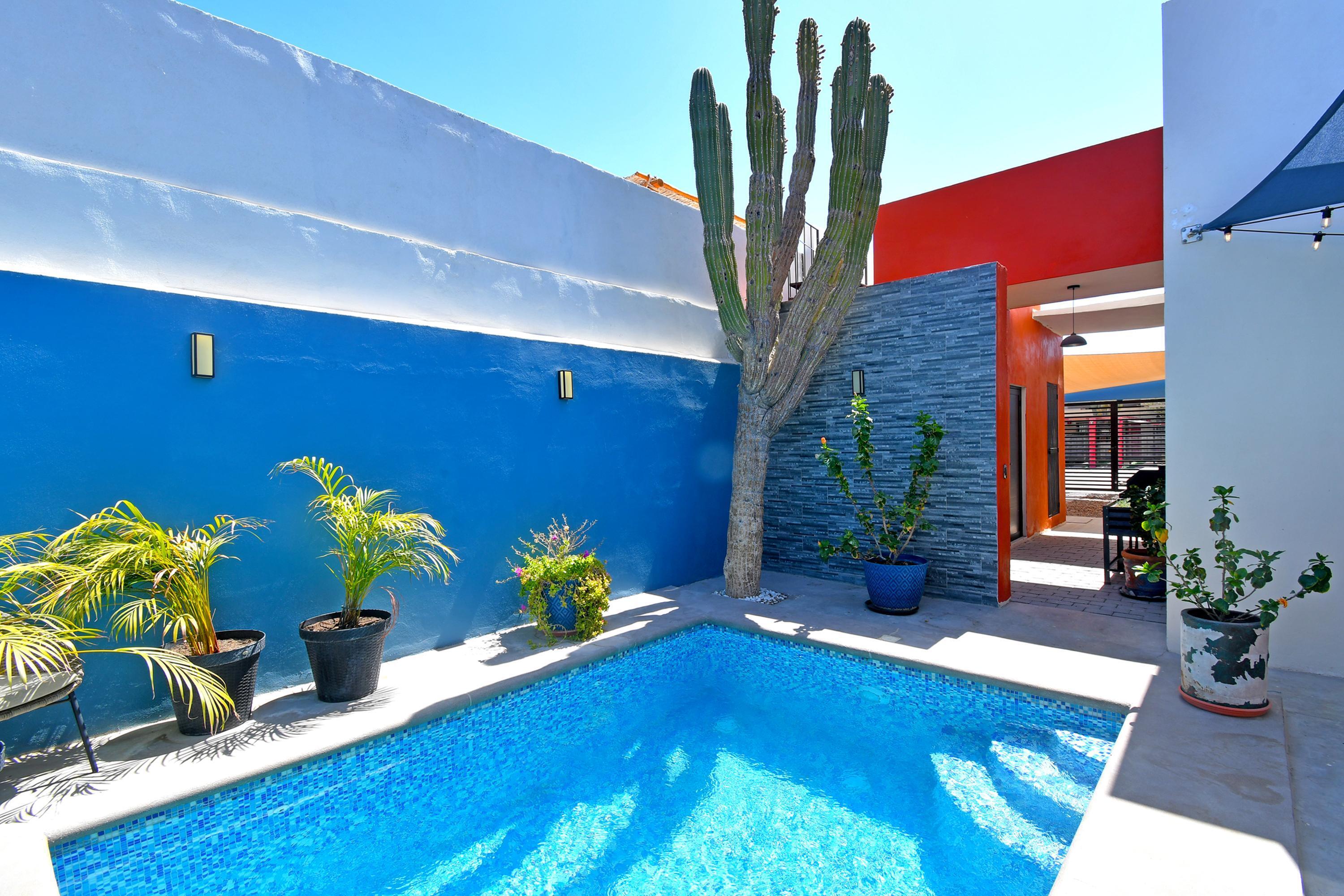 MLS #25-1974 image #25