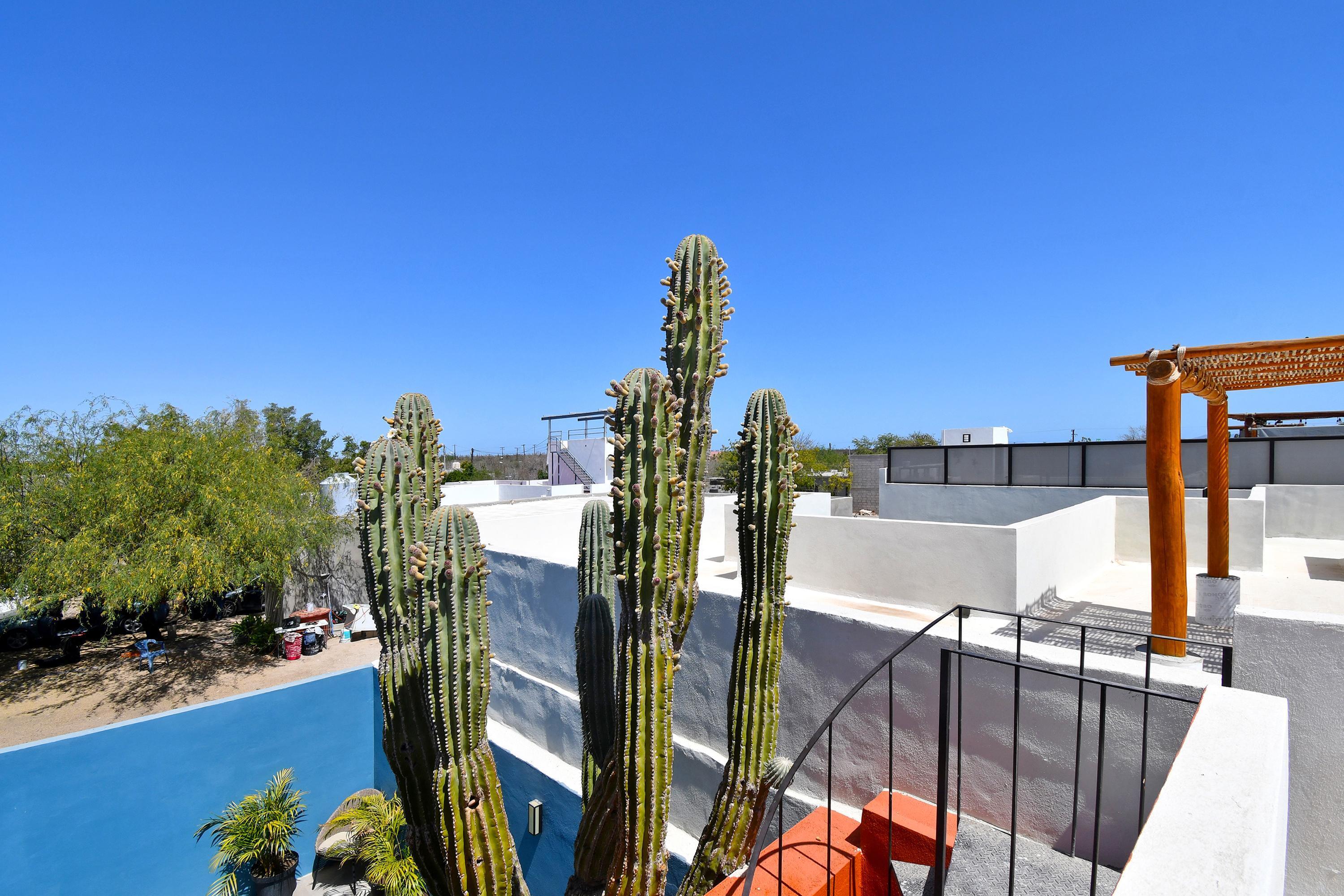 MLS #25-1974 image #36