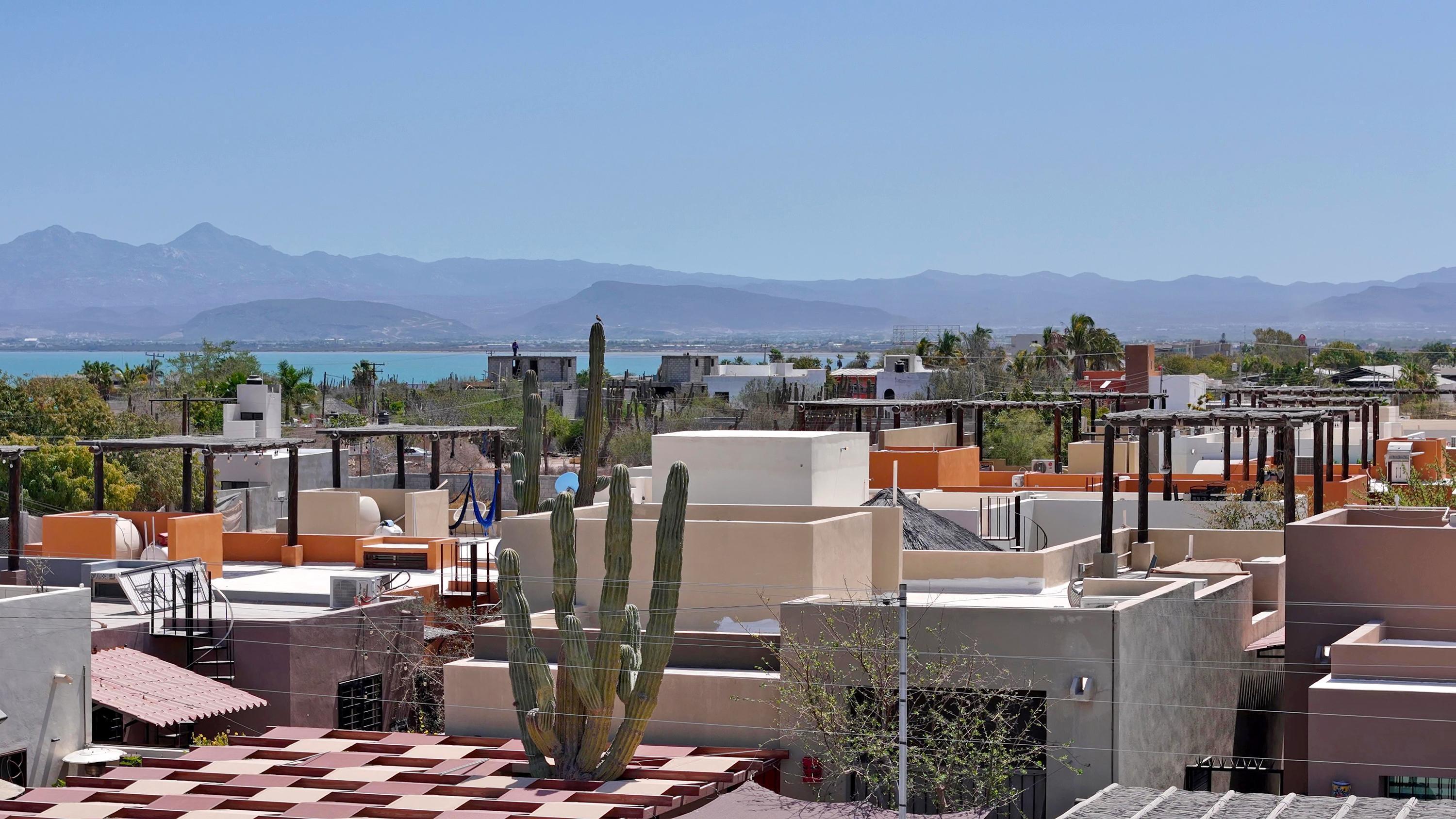 MLS #25-1974 image #47