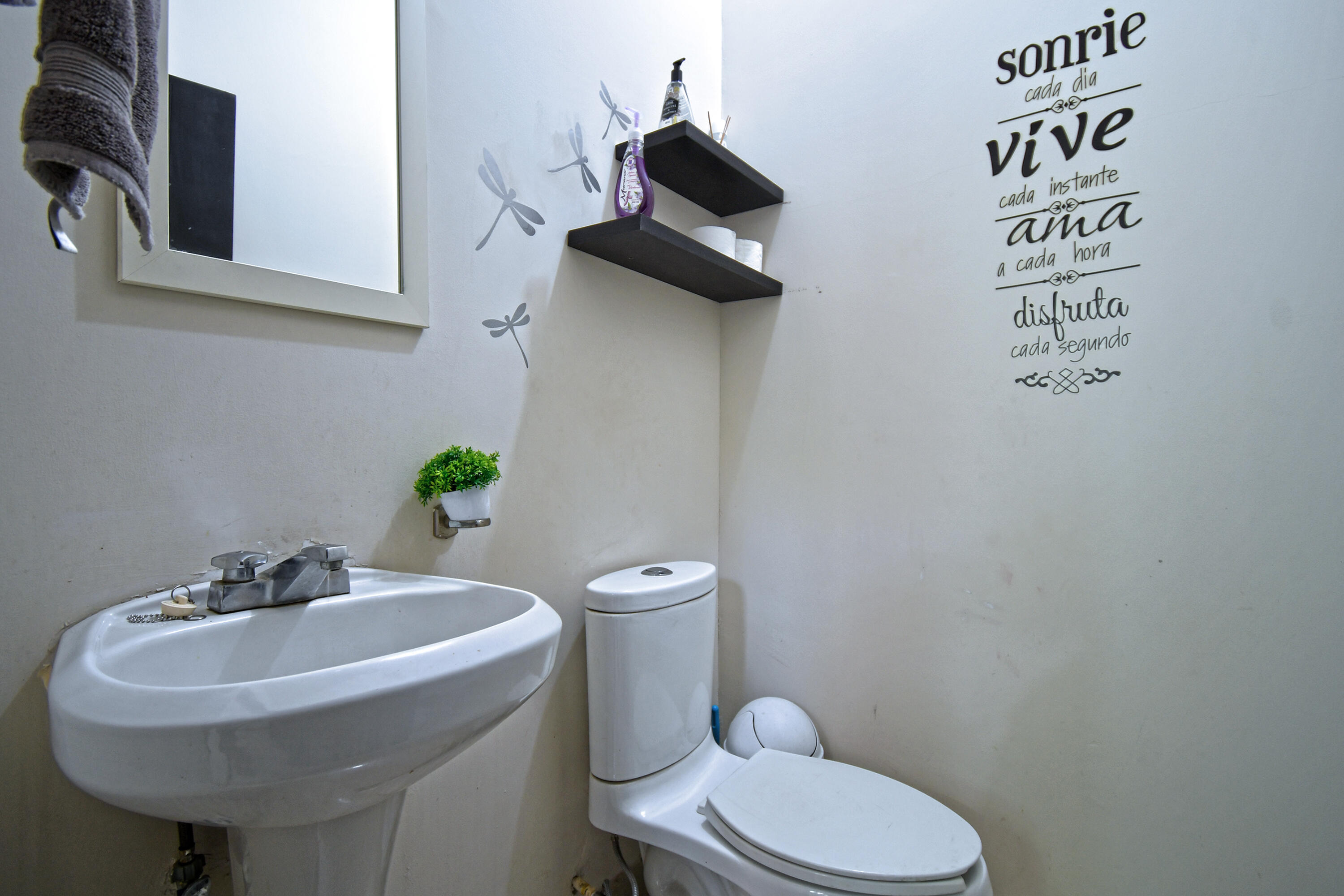 MLS #25-1989 image #12