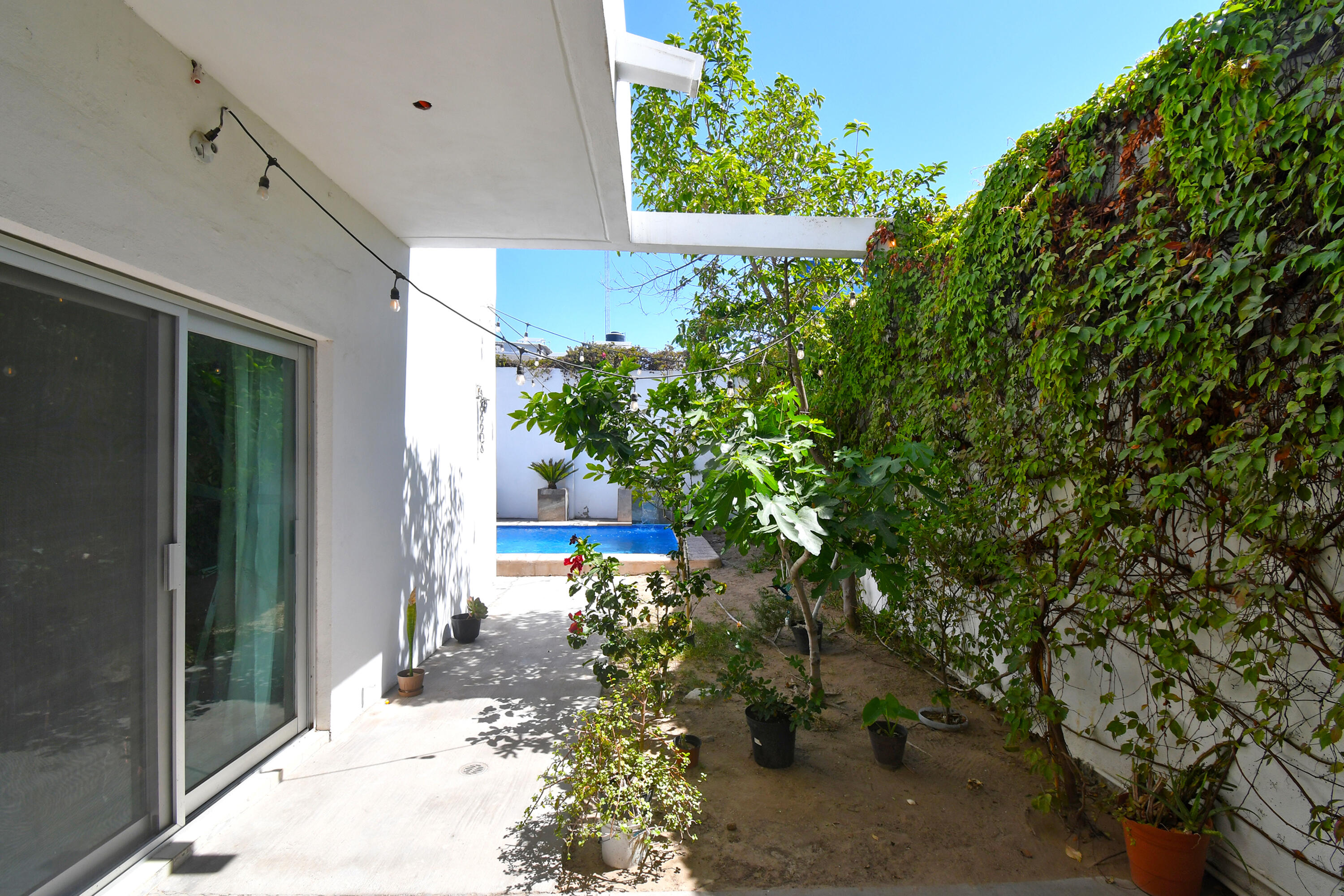 MLS #25-1989 image #34