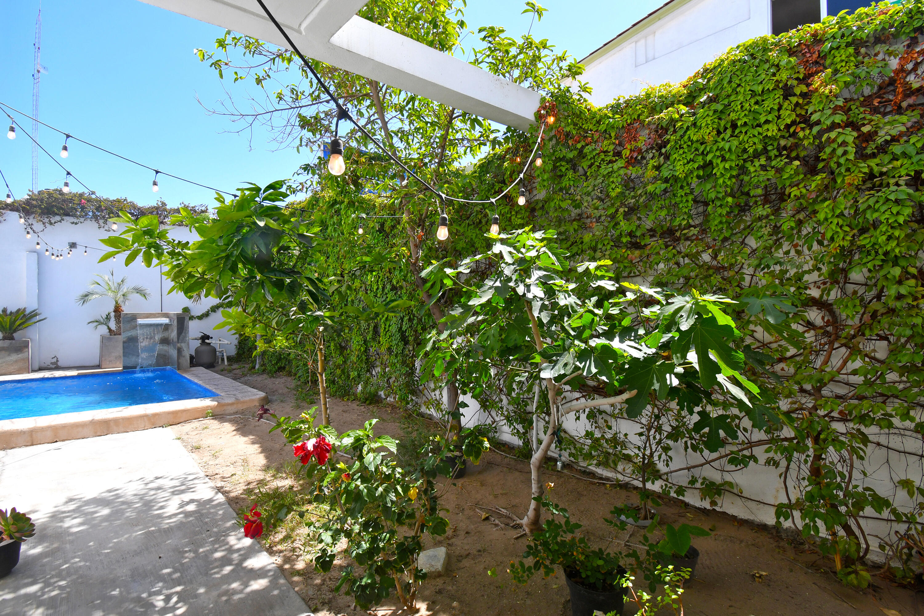 MLS #25-1989 image #35