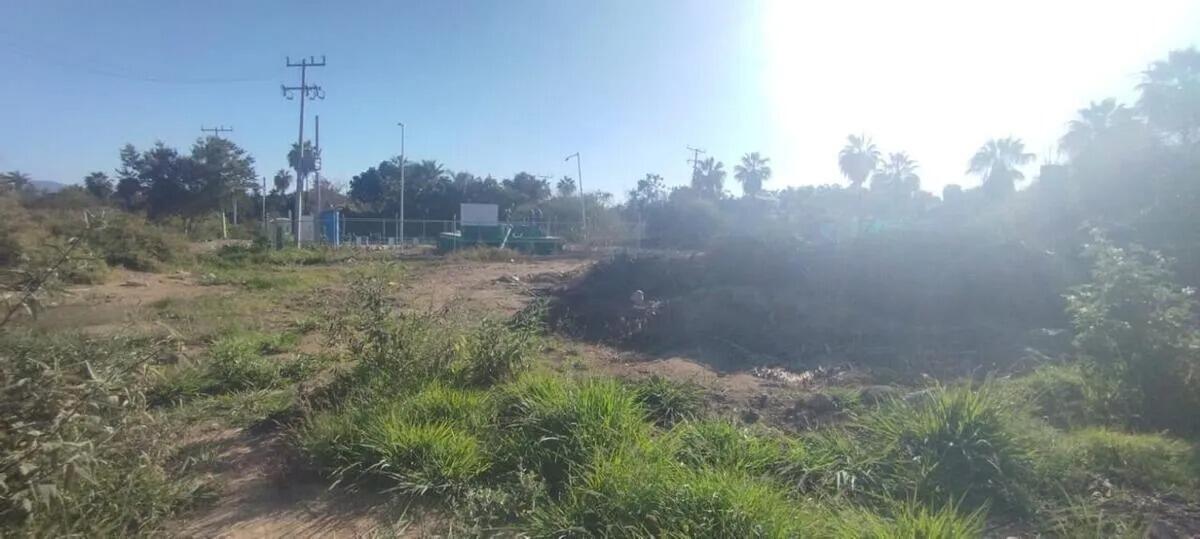 Quintas Quintas de Todos Santos La Paz BCS MLS #25-2024 43 MLS #25-2024 image #2