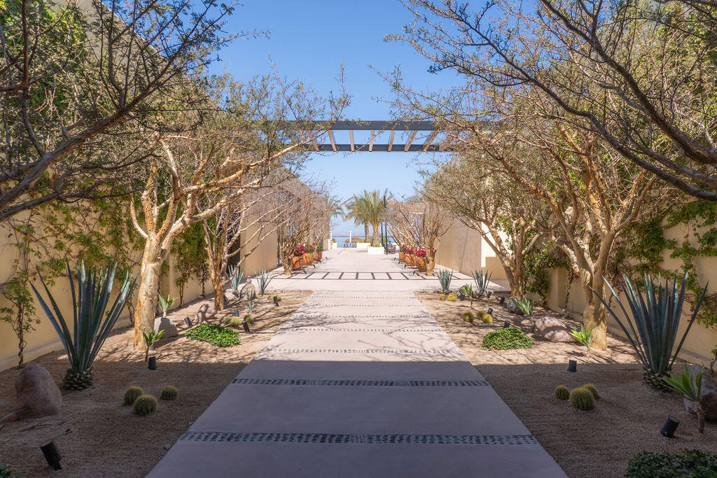 MLS #25-2060 image #12