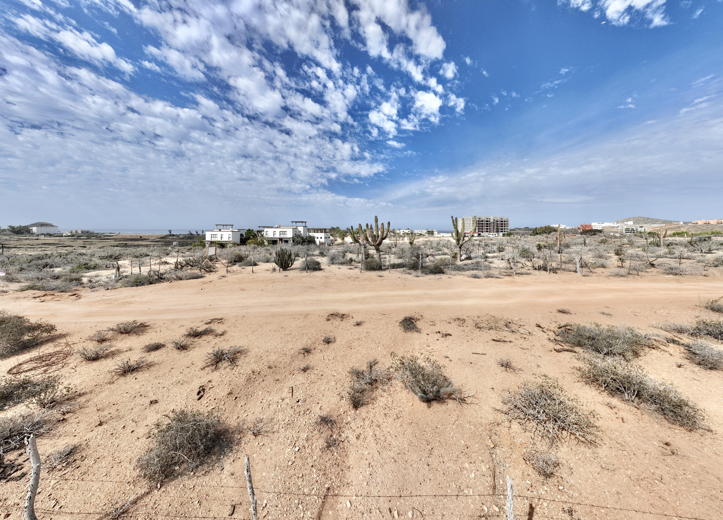 MLS #25-2076 image #5