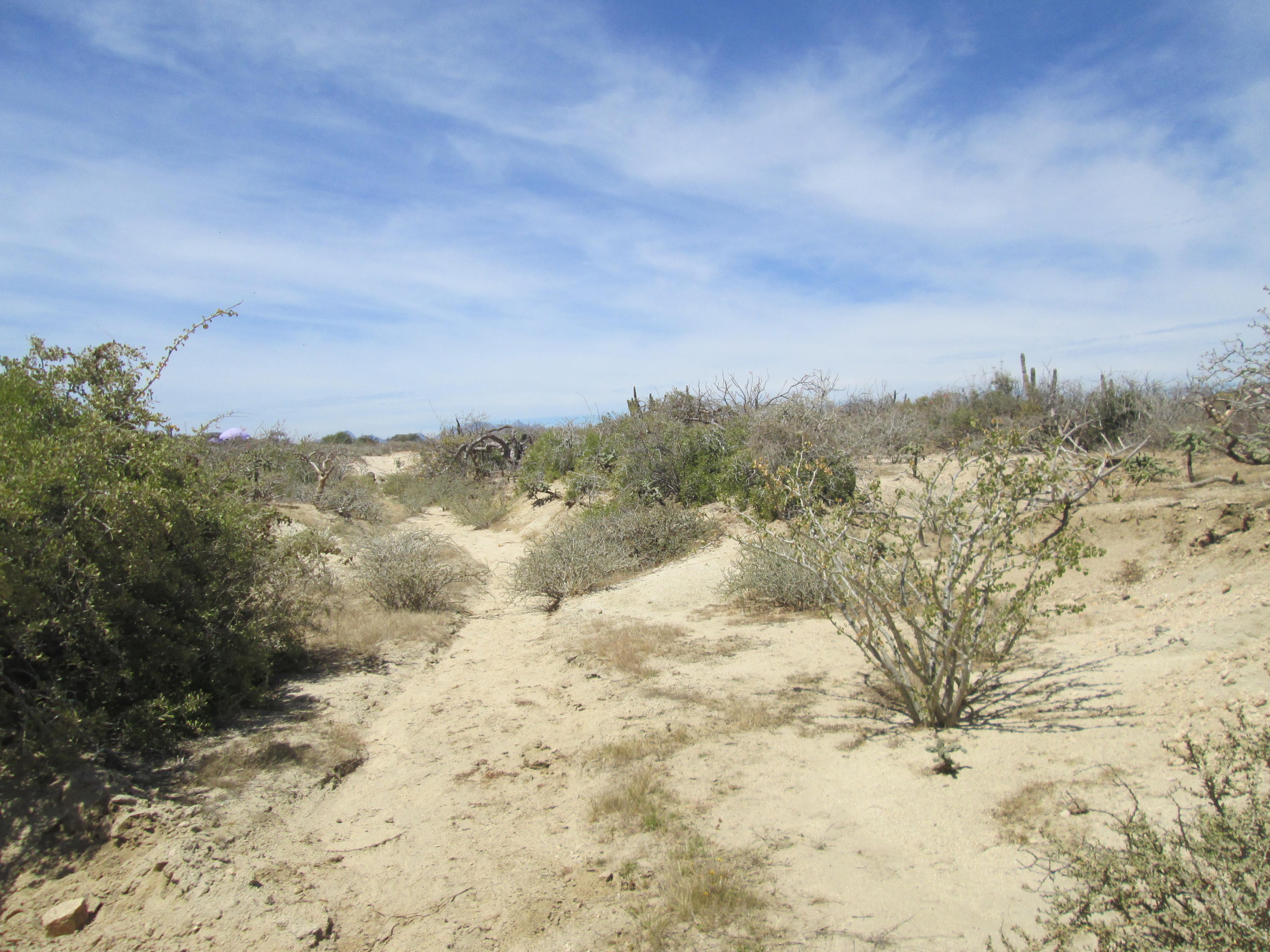 MLS #25-2114 img 0
