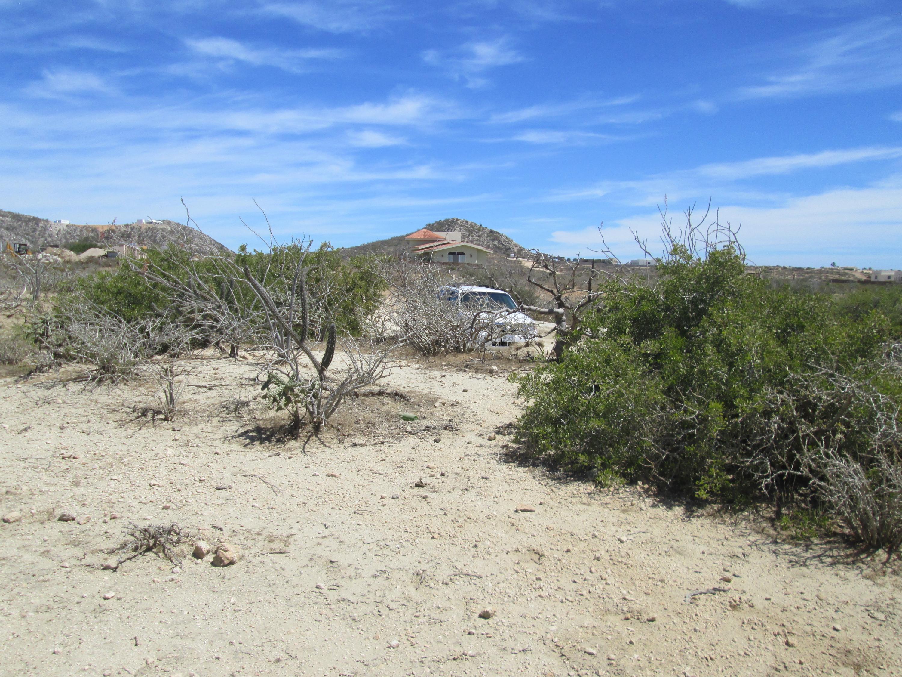MLS #25-2114 img 1