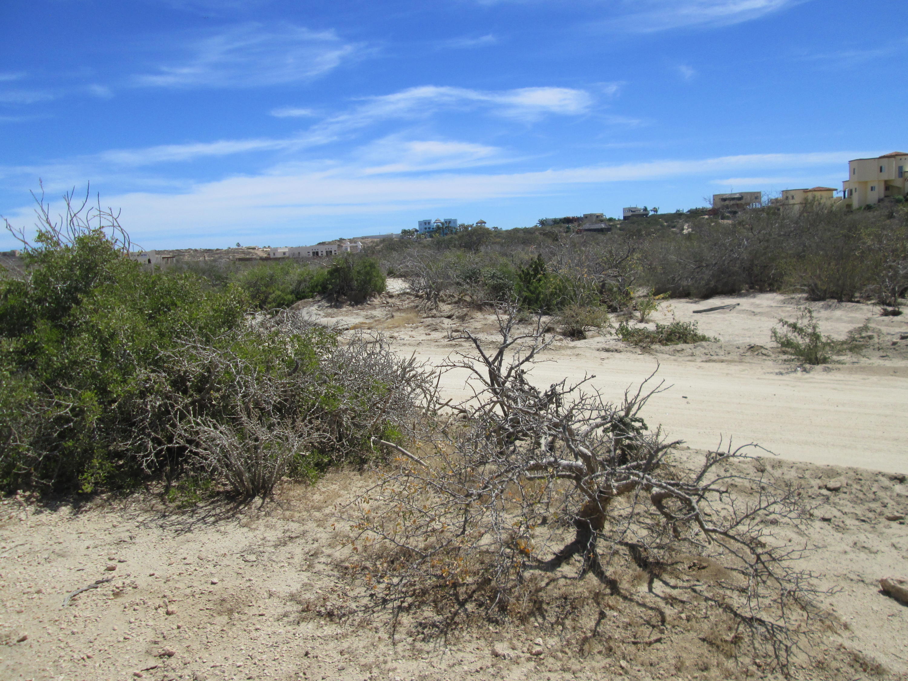 MLS #25-2114 img 2