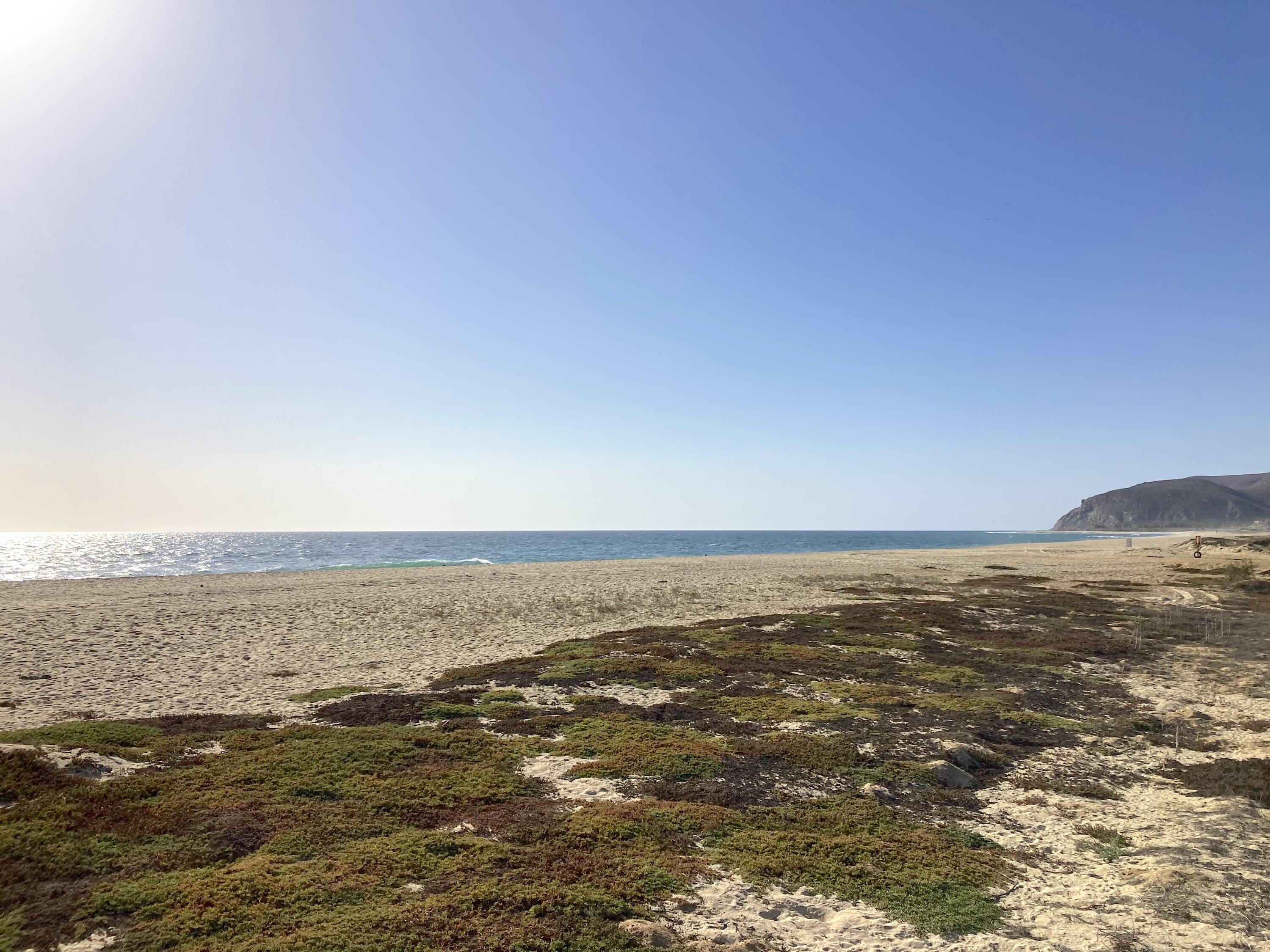 MLS #25-2134 image #7