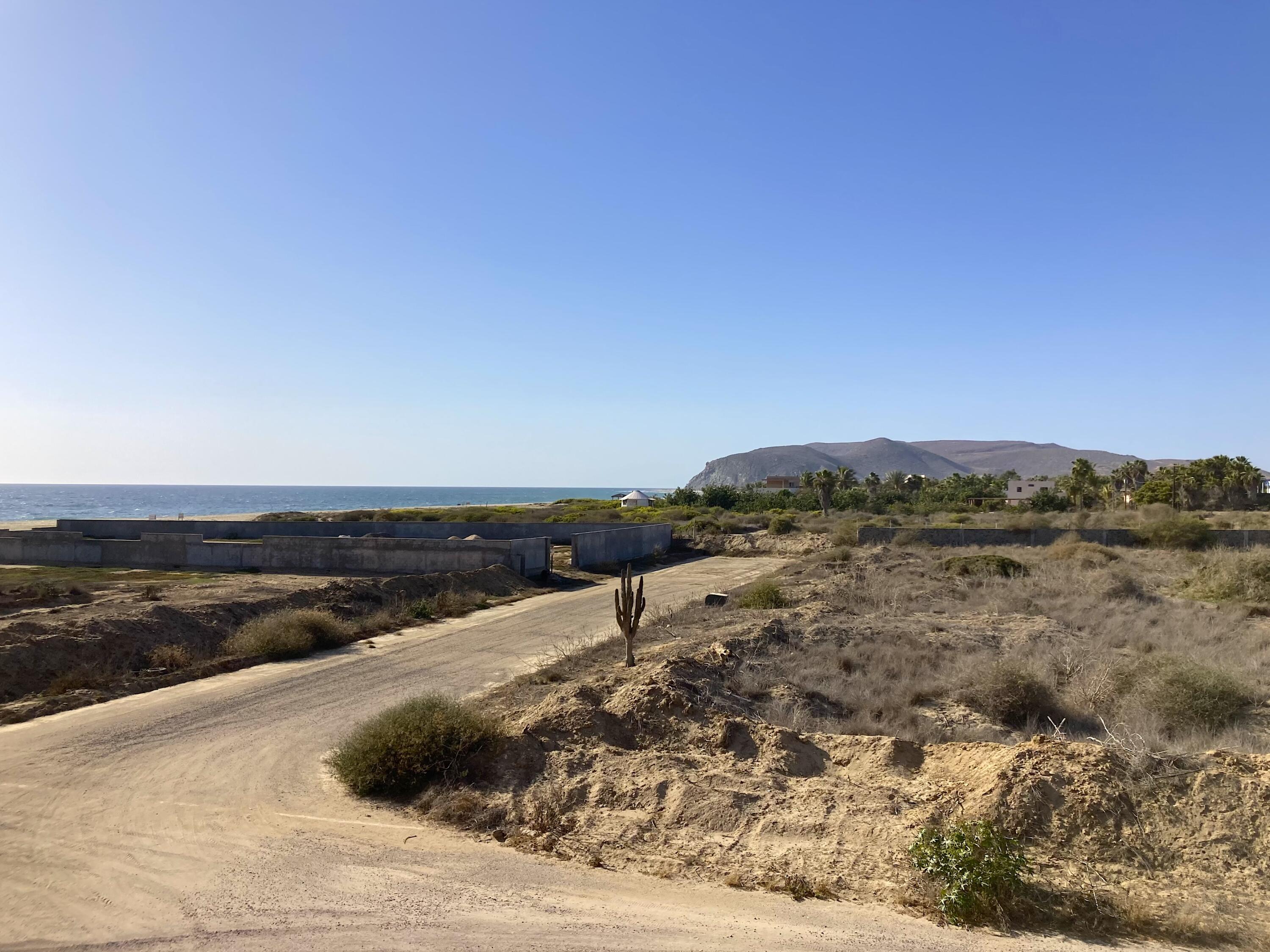 MLS #25-2134 image #8