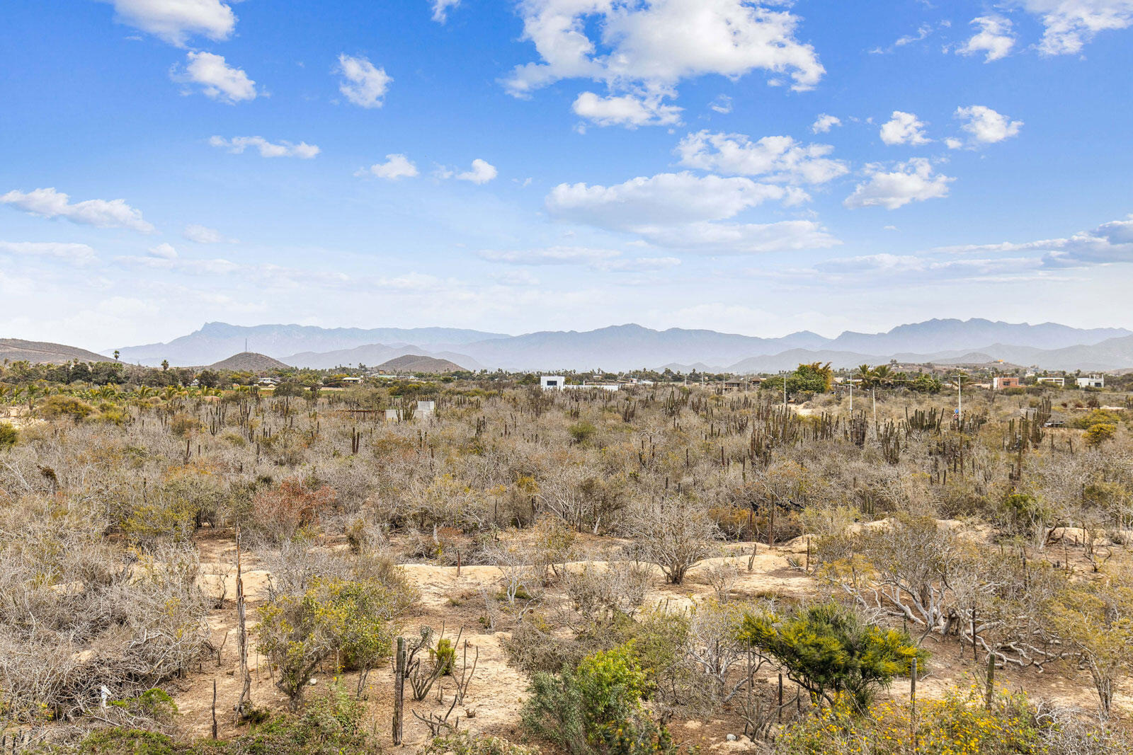 MLS #25-2229 image #19