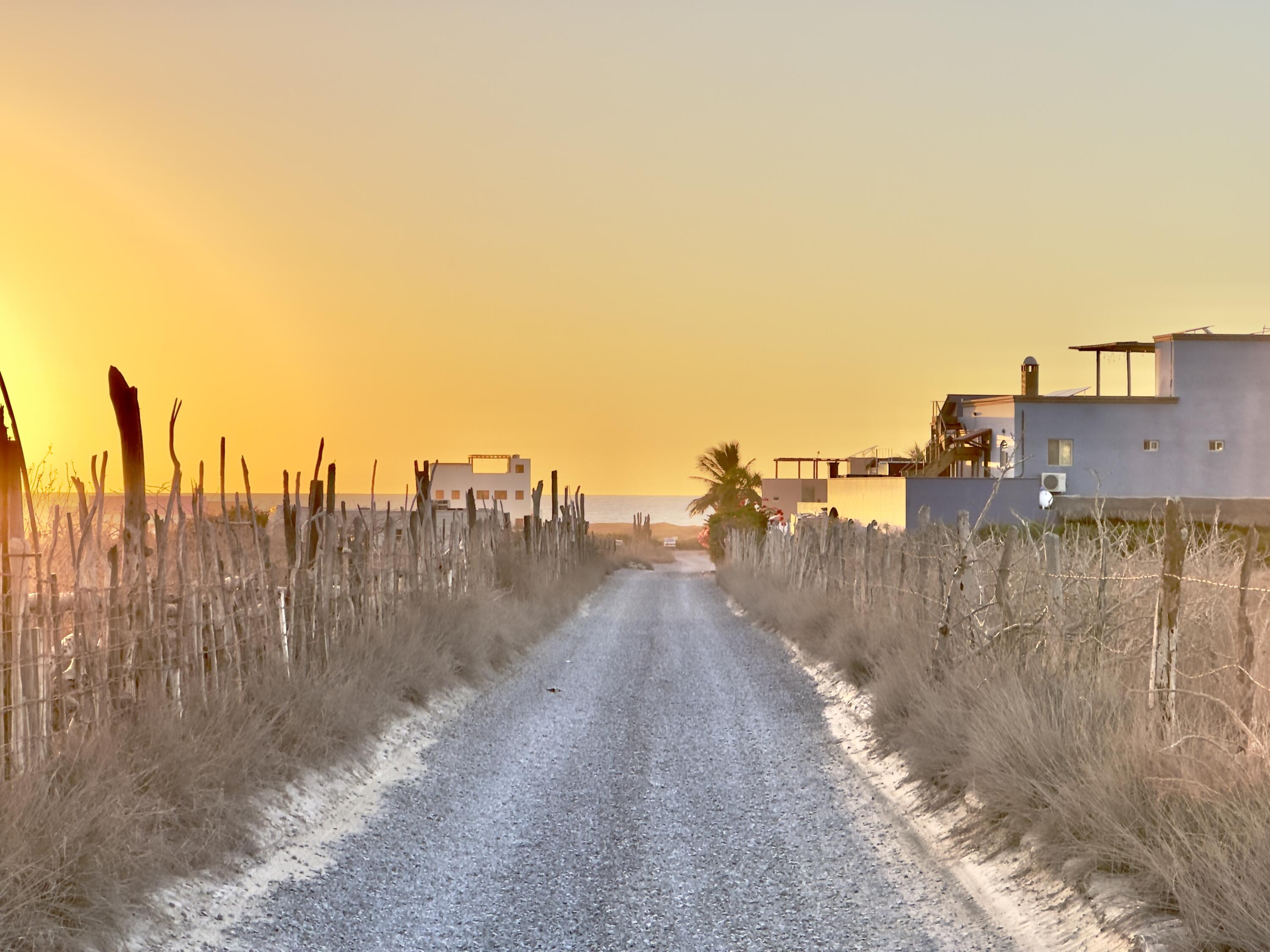 MLS #25-226 image #12