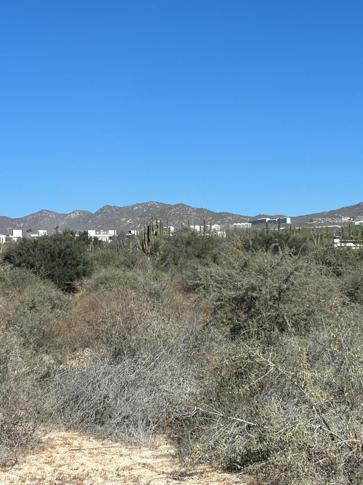 Lot#7 Commercial land Cabo Corridor BCS MLS #25-228 44 MLS #25-228 image #3