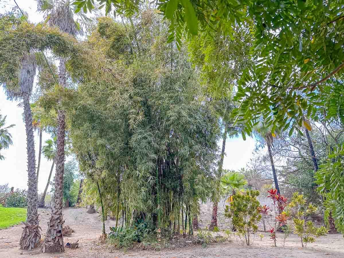 MLS #25-2328 image #10