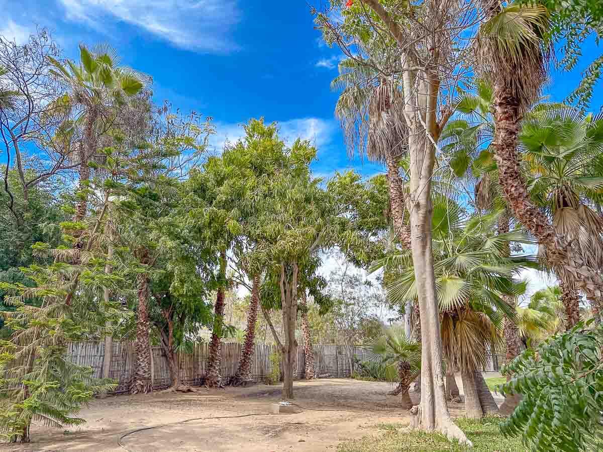 MLS #25-2328 image #11