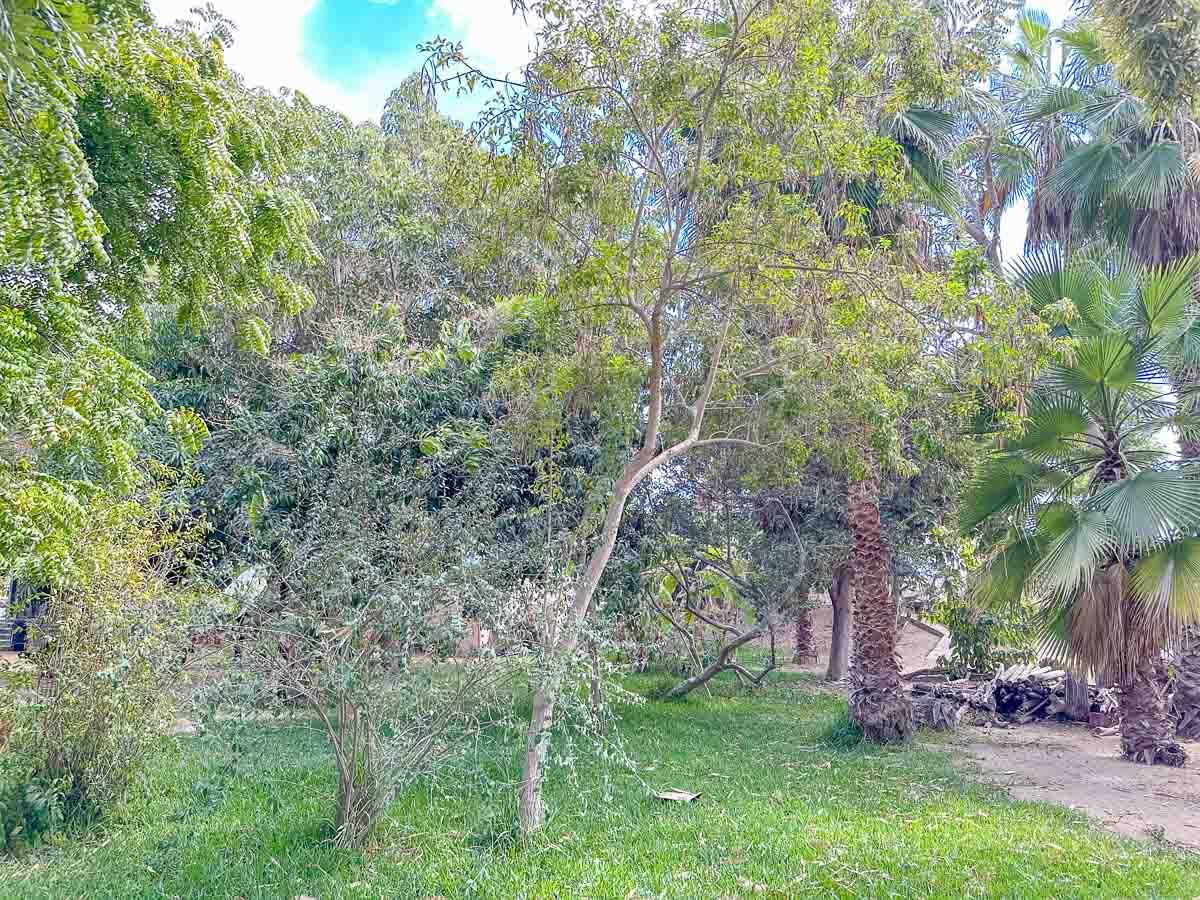 MLS #25-2328 image #12