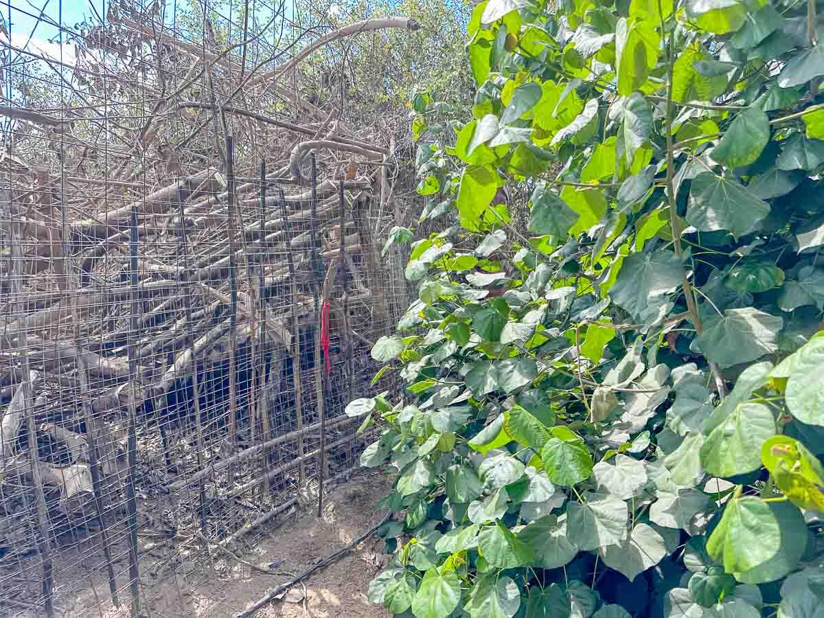 MLS #25-2328 image #13