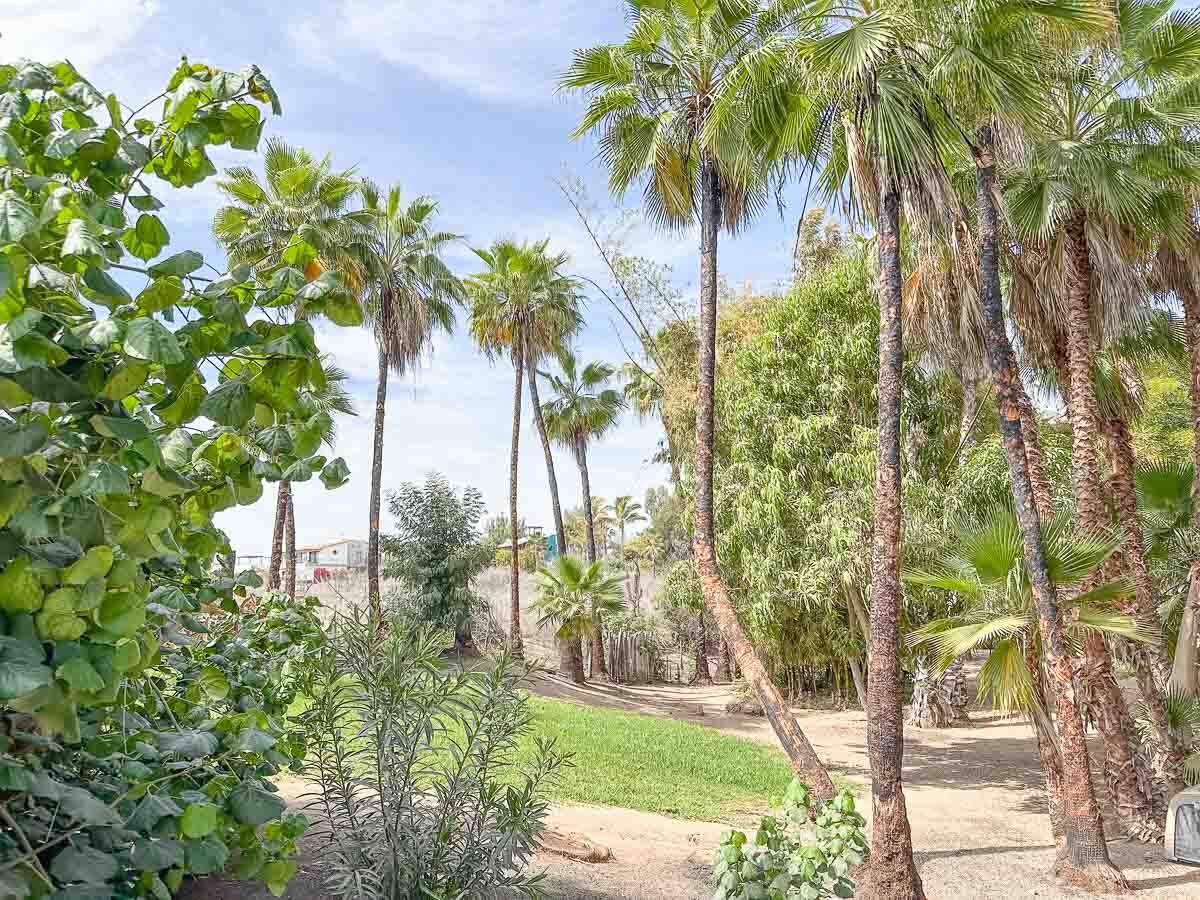 MLS #25-2328 image #14