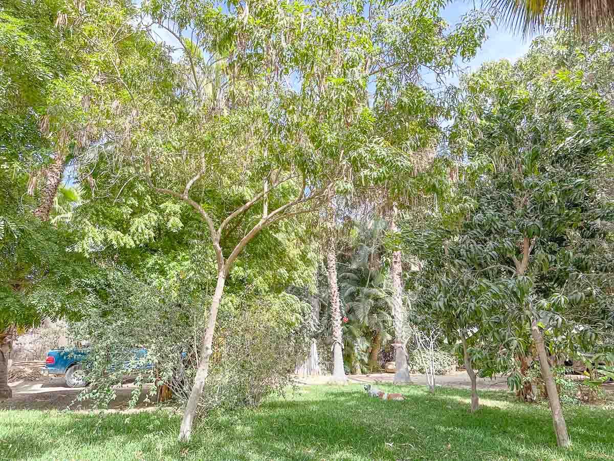 MLS #25-2328 image #16