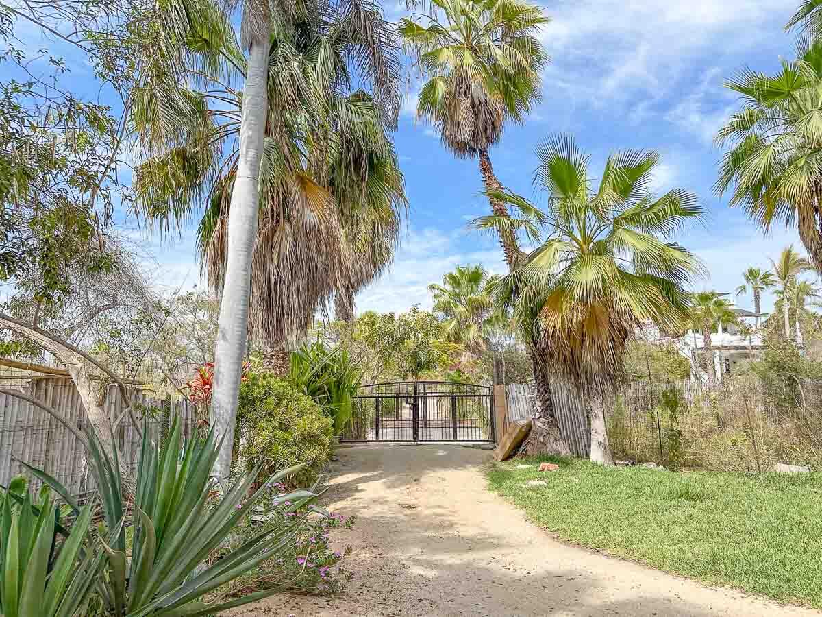 MLS #25-2328 image #17