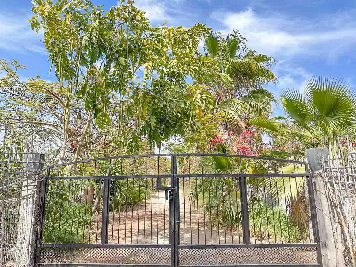 MLS #25-2328 image #19