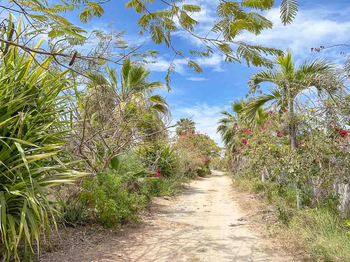 MLS #25-2328 image #21