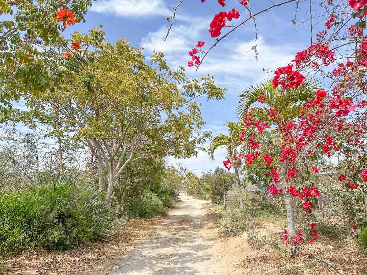 MLS #25-2328 image #22