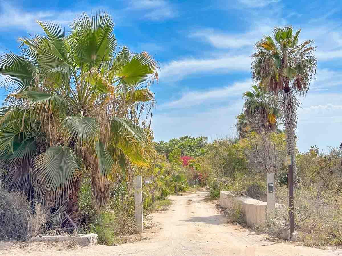 MLS #25-2328 image #23