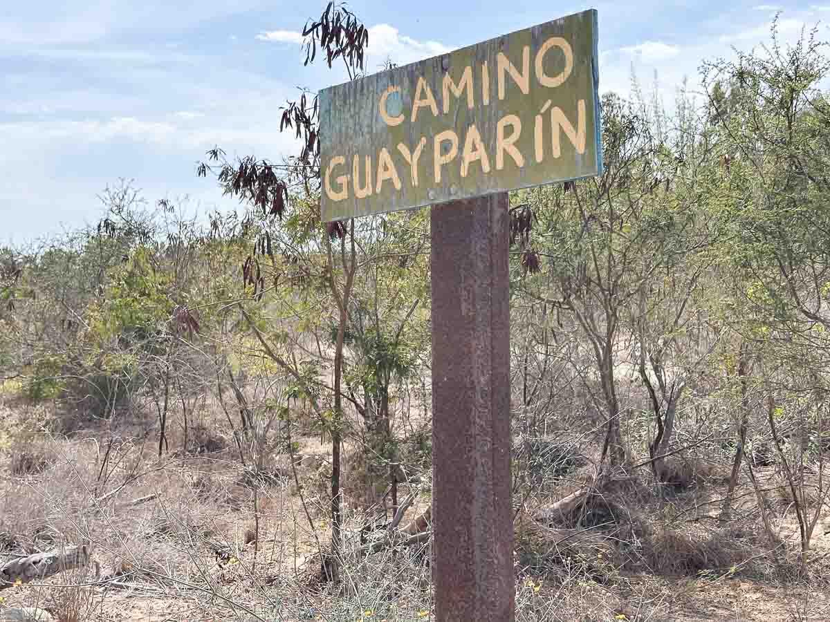 MLS #25-2328 image #24