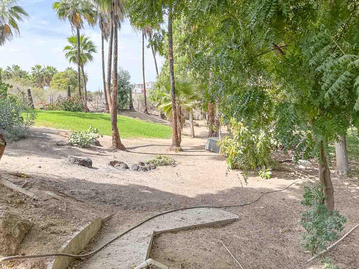 MLS #25-2328 image #8